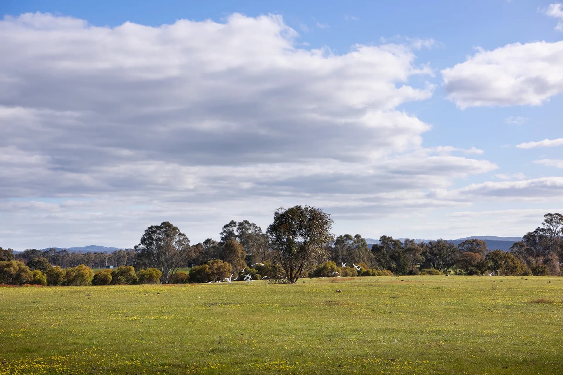Lot 4,  Axe Creek  Road, Axe Creek, VIC, Axe Creek - Thumbnail 5