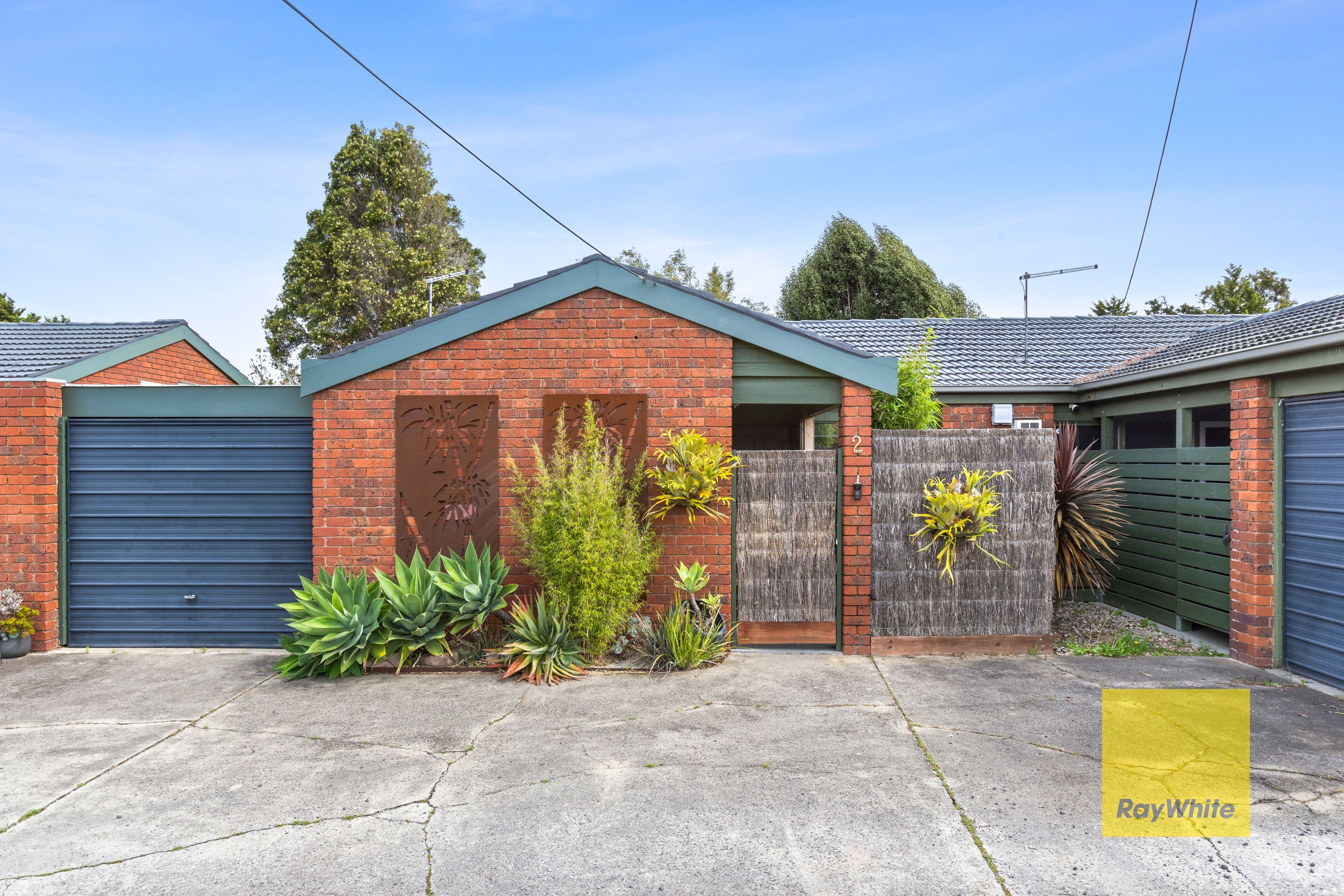 4 Shara Court, Belmont VIC 3216, Belmont - Thumbnail 3