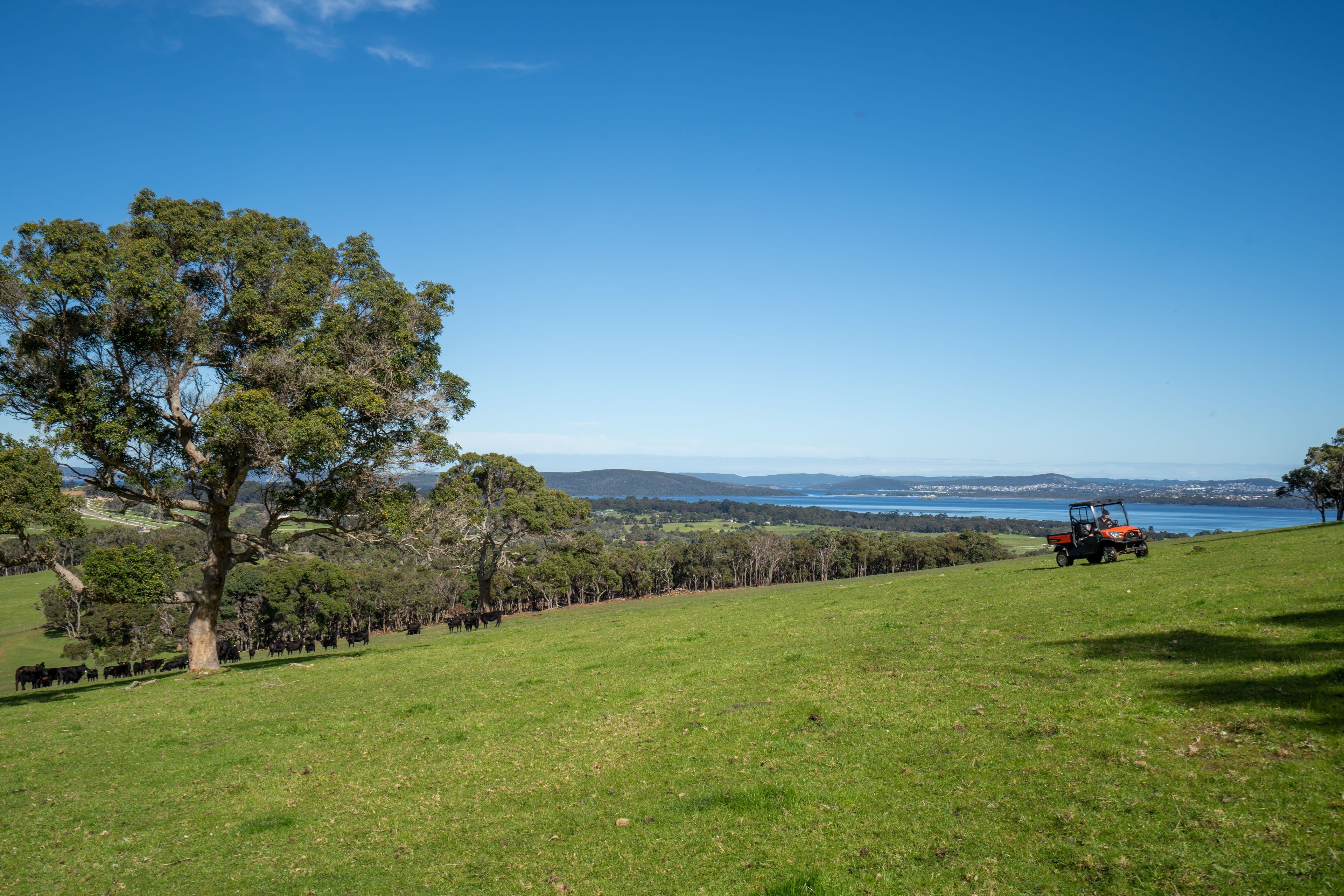 461 Nanarup Road, Kalgan WA 6330, Kalgan - Thumbnail 4