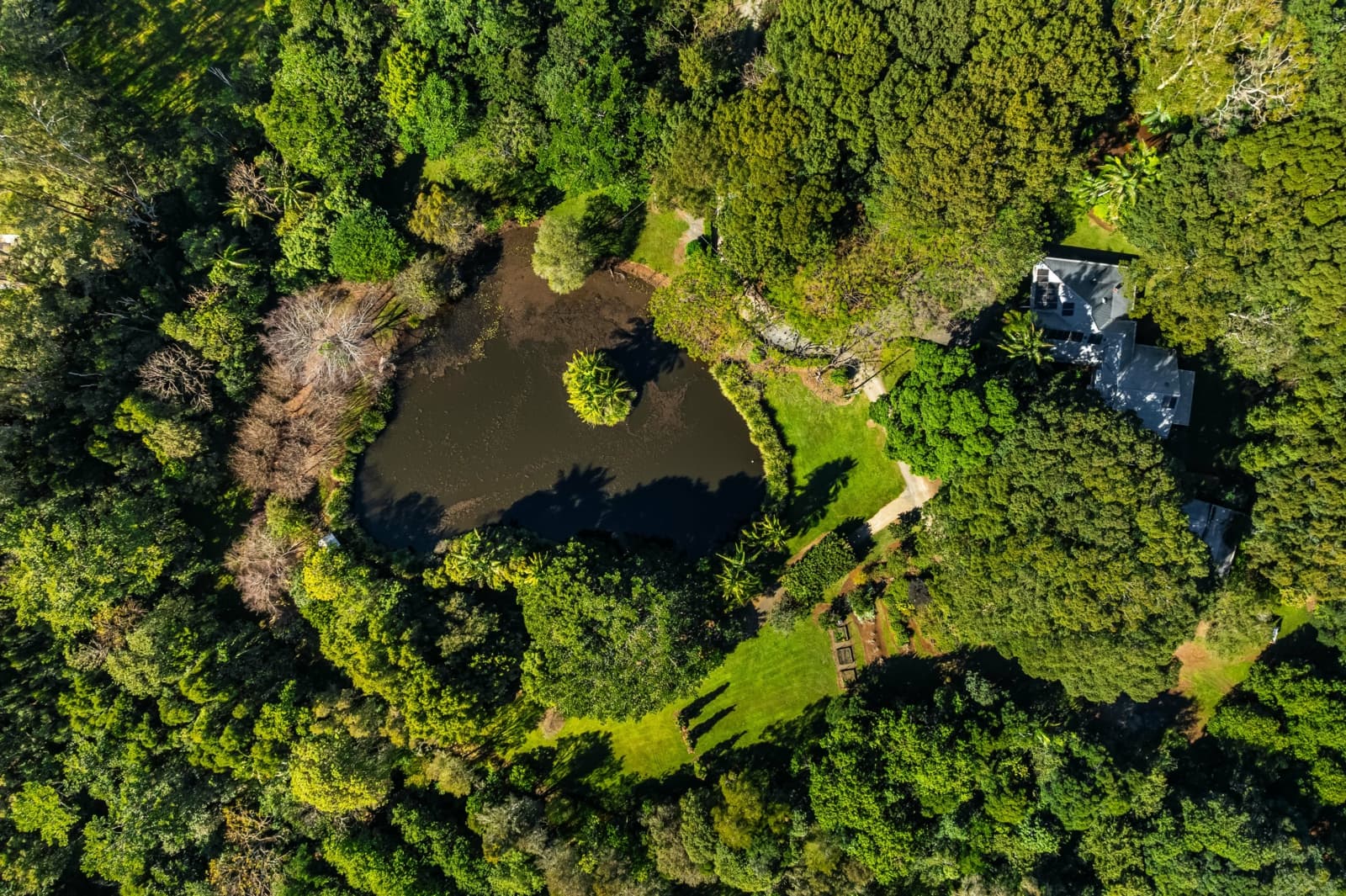 493 Friday Hut Road, Brooklet - Thumbnail 8