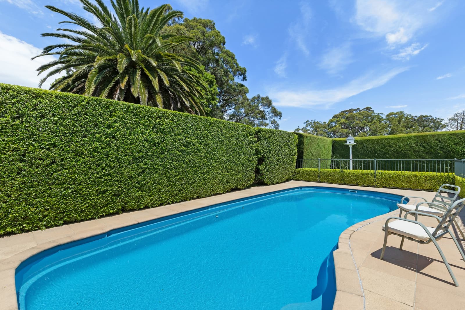 136 Beecroft Road,Beecroft, Beecroft - Thumbnail 5