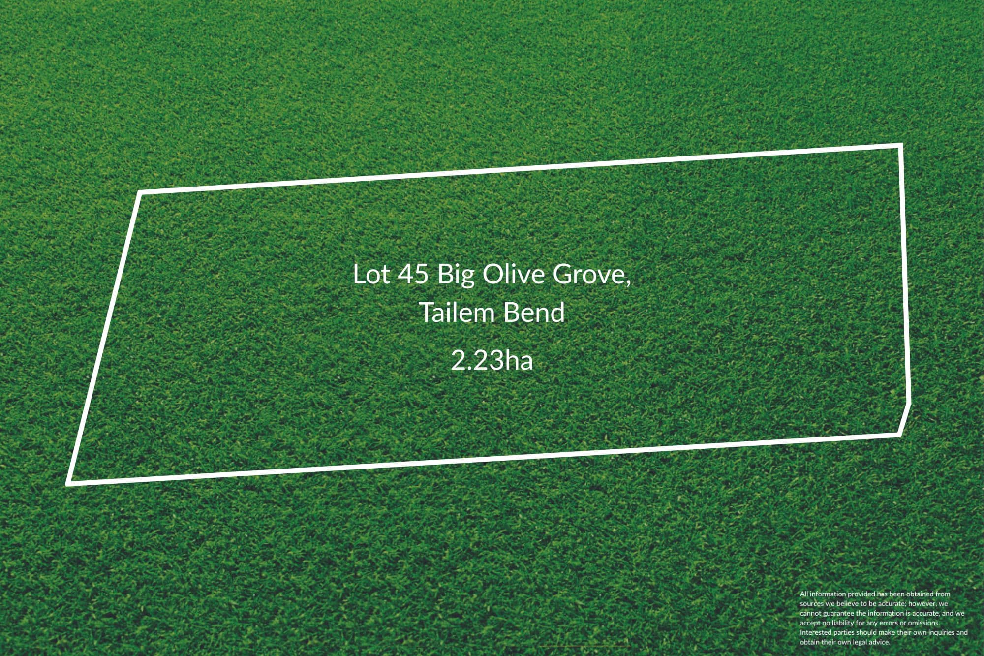 Big Olive Grove, Tailem Bend SA 5260, Tailem Bend - Thumbnail 2