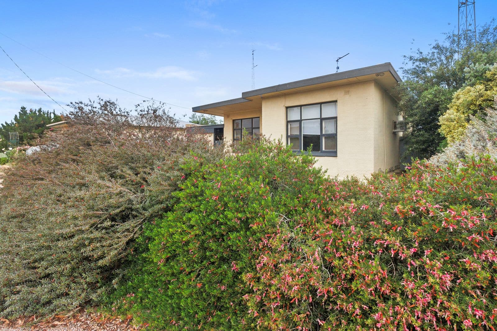35 Ewing Street, Kadina SA 5554, Kadina - Thumbnail 5