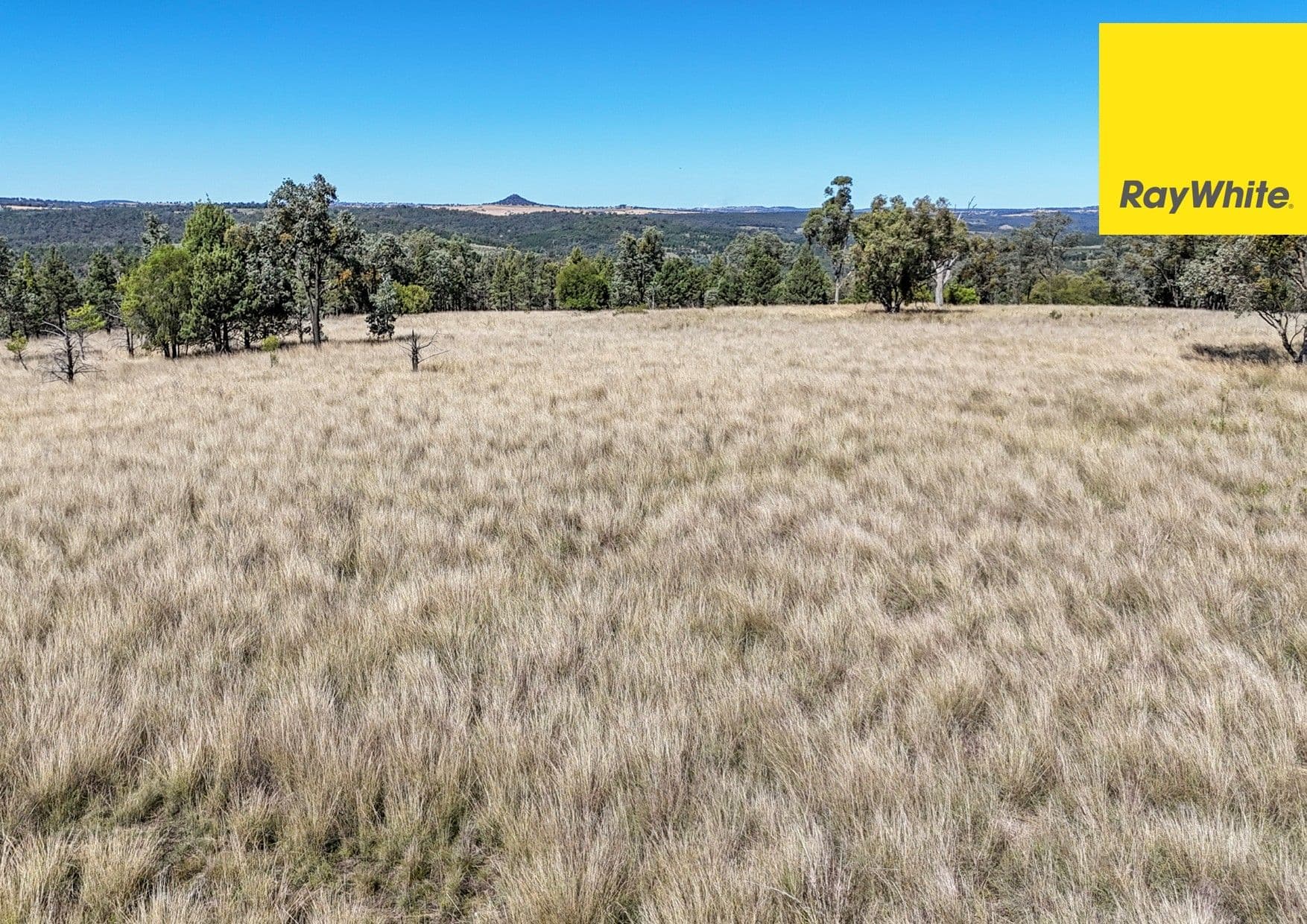 12030 Gwydir Highway, Warialda NSW 2402, Warialda - Image 1