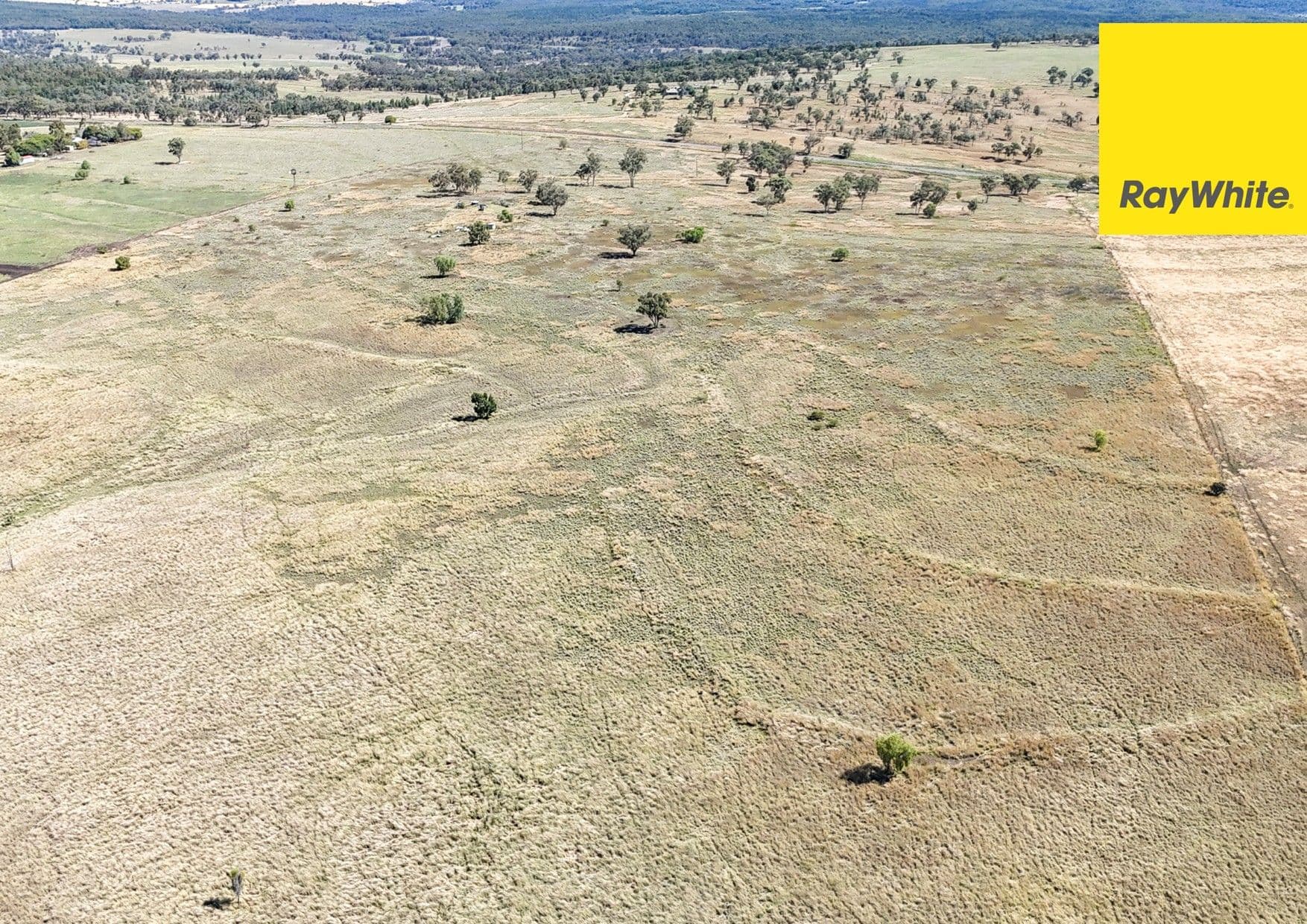 12030 Gwydir Highway, Warialda NSW 2402, Warialda - Thumbnail 2