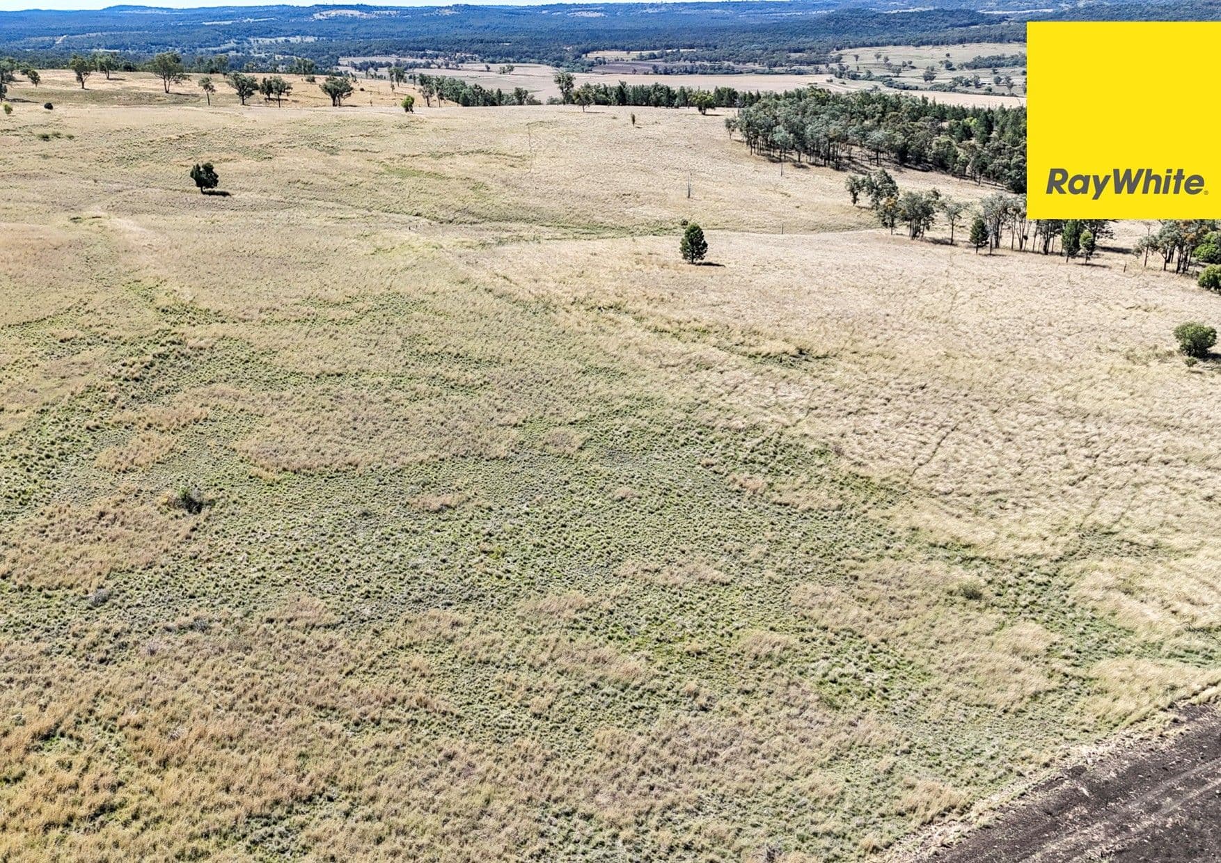 12030 Gwydir Highway, Warialda NSW 2402, Warialda - Thumbnail 6
