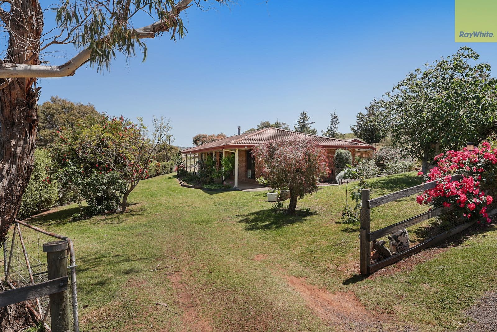 10 Chicory Drive, Bacchus Marsh VIC 3340, Bacchus Marsh - Thumbnail 2