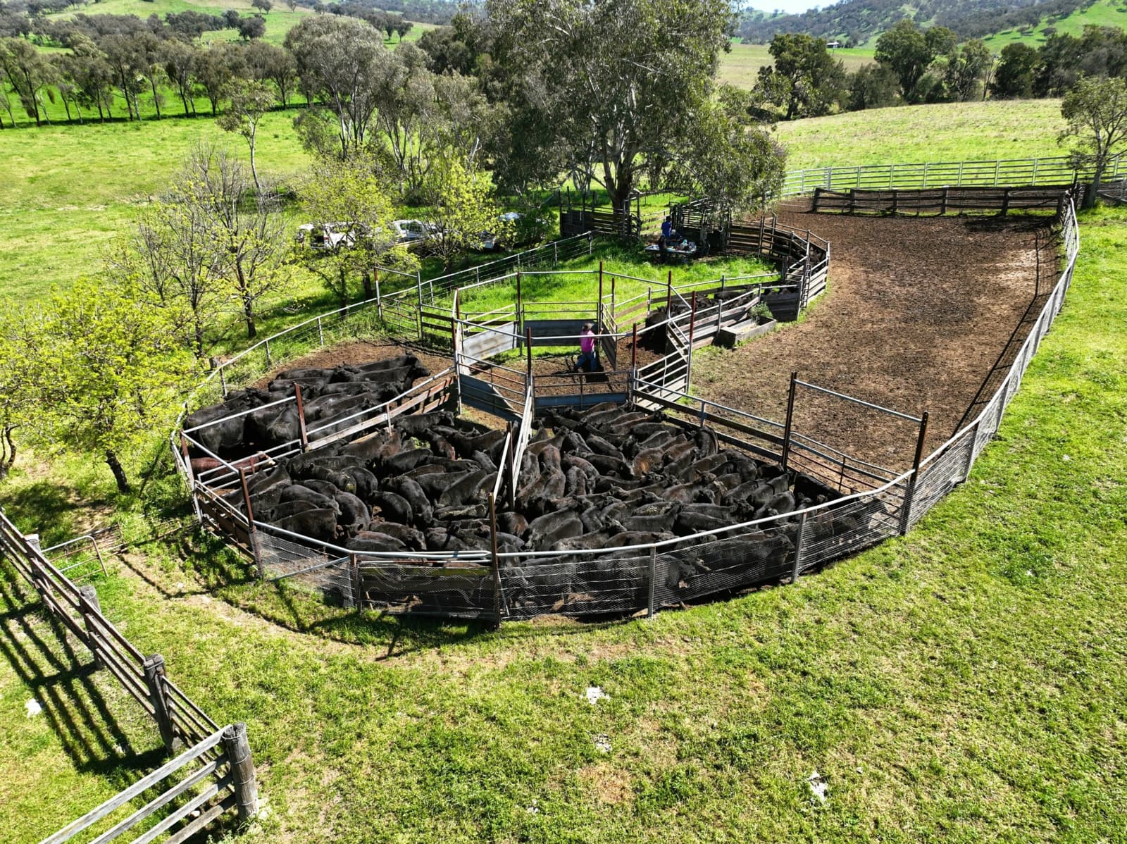 650 Donalds Creek Road,Scone, Scone - Thumbnail 3