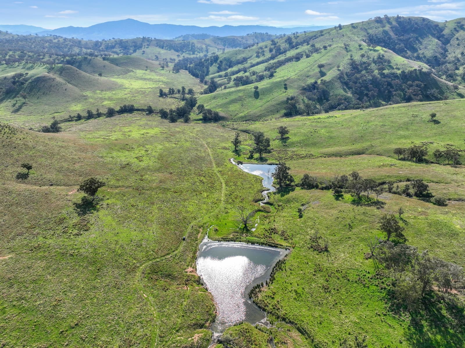 650 Donalds Creek Road,Scone, Scone - Thumbnail 4