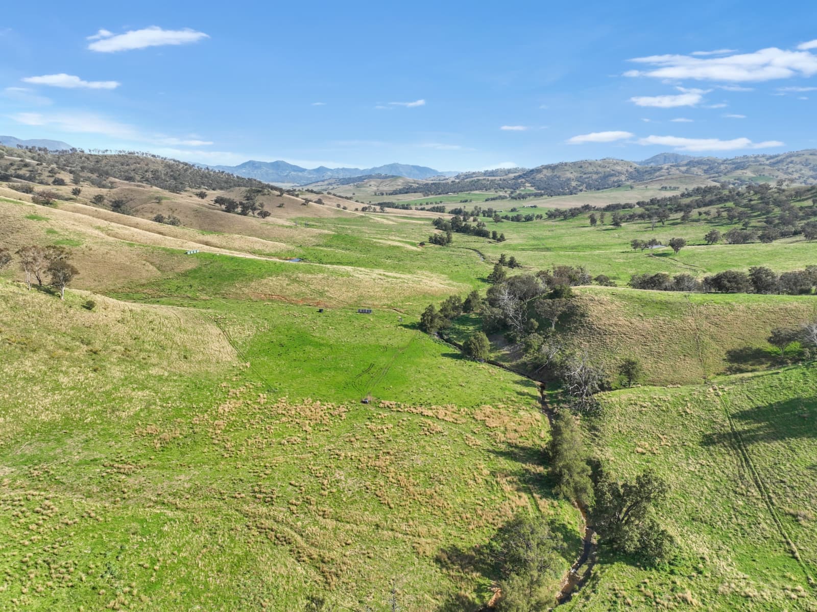 650 Donalds Creek Road,Scone, Scone - Thumbnail 5