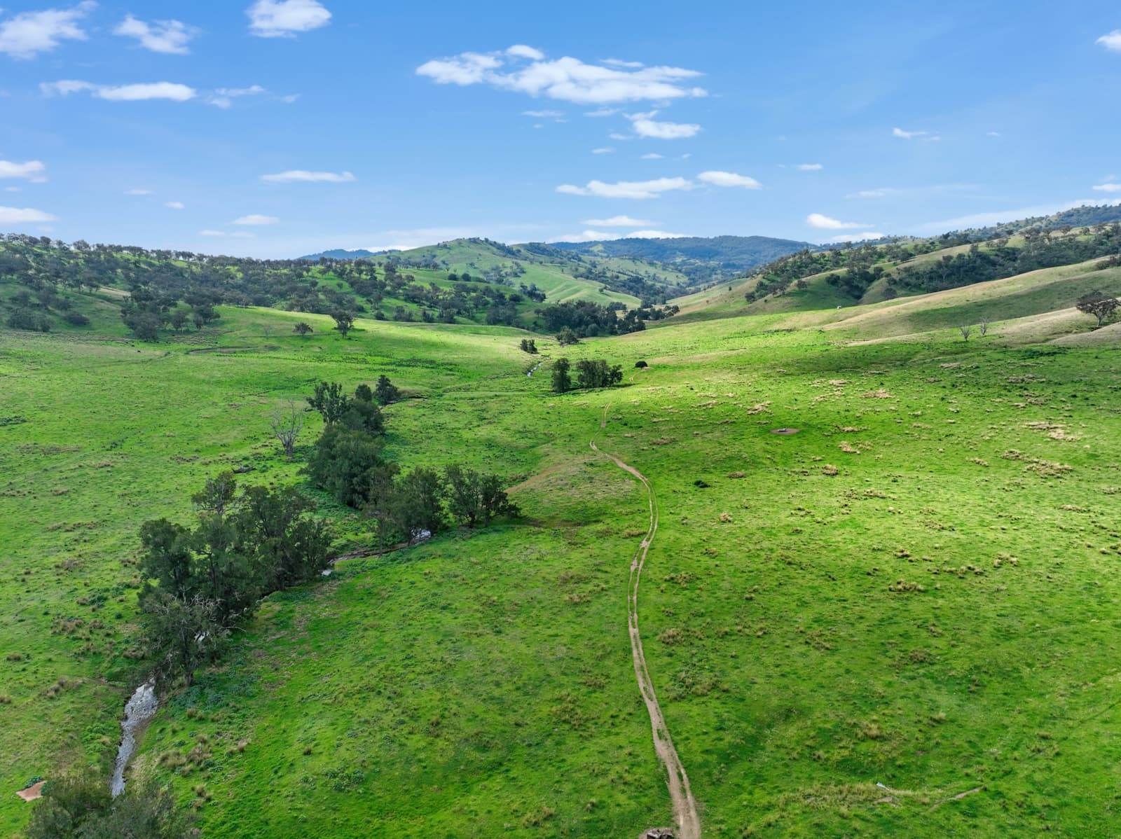 650 Donalds Creek Road,Scone, Scone - Thumbnail 7
