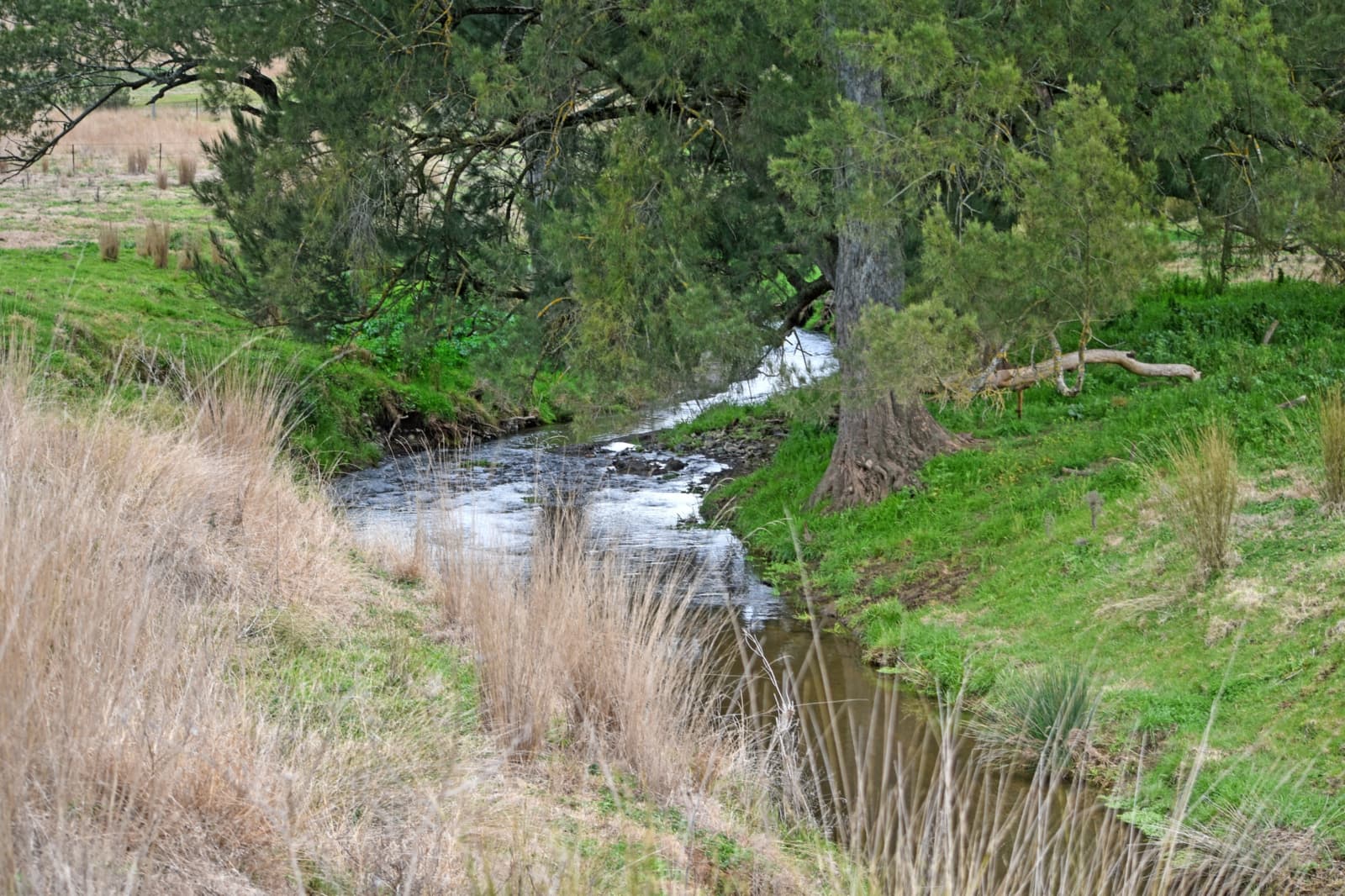 650 Donalds Creek Road,Scone, Scone - Thumbnail 8