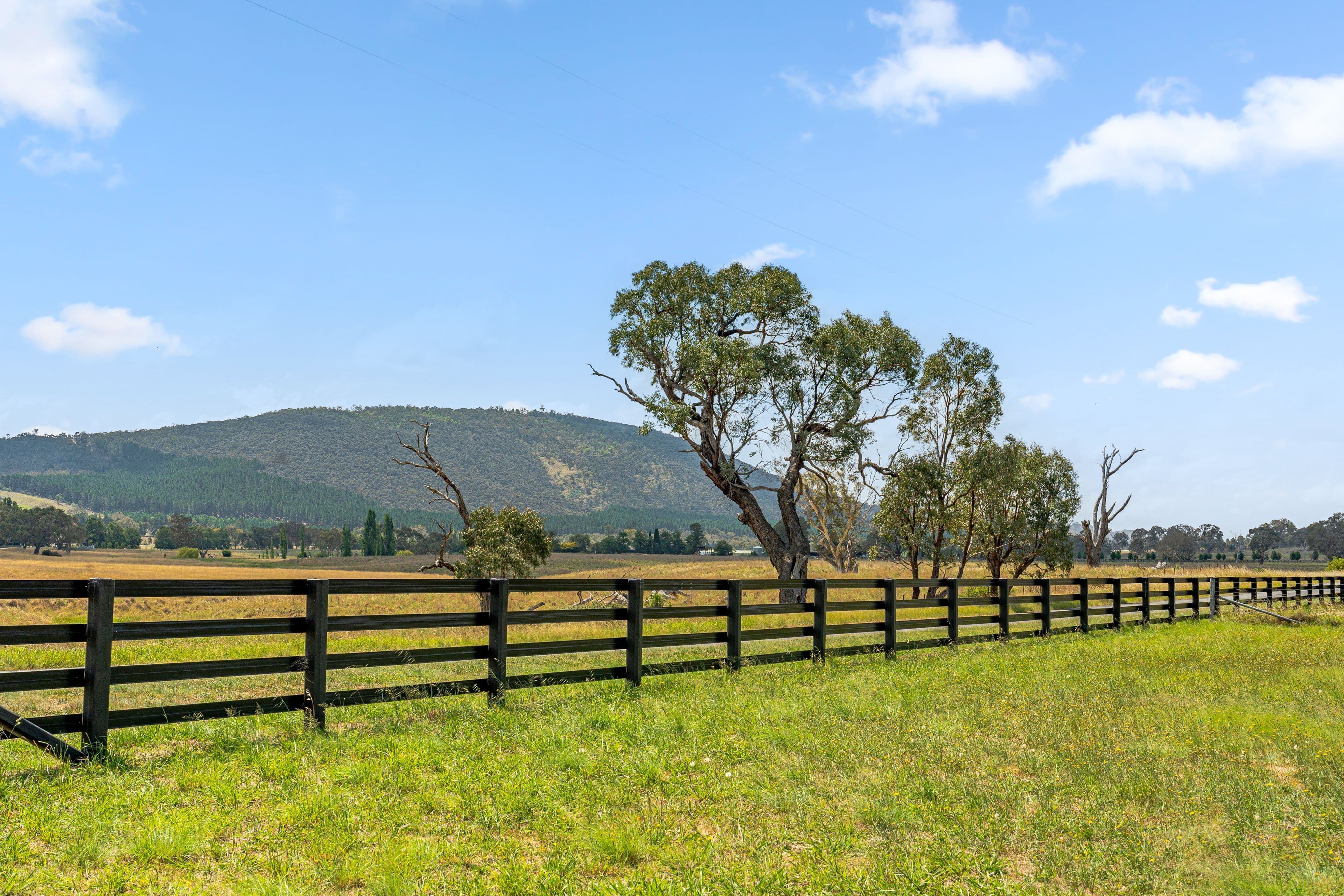14 Avonley Road, Majura ACT 2609, ACT Remainder - Majura - Thumbnail 5