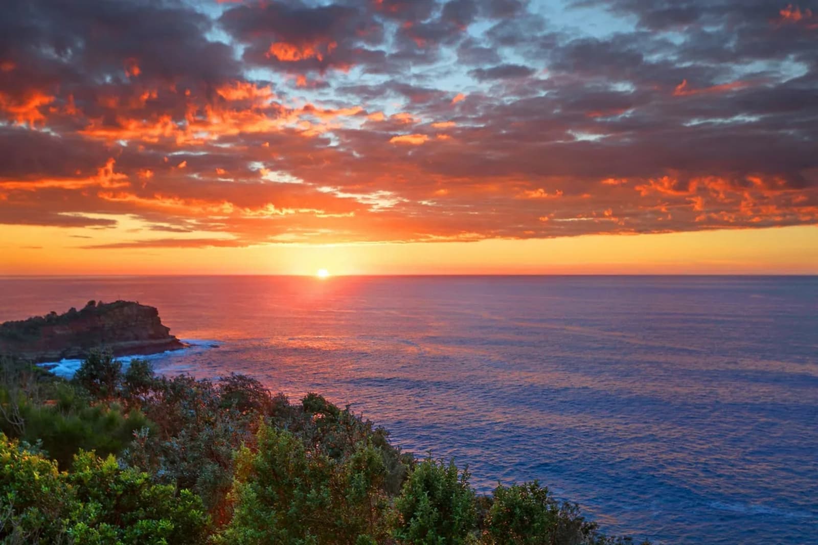 21 John Gray Close,Terrigal, Terrigal - Thumbnail 4