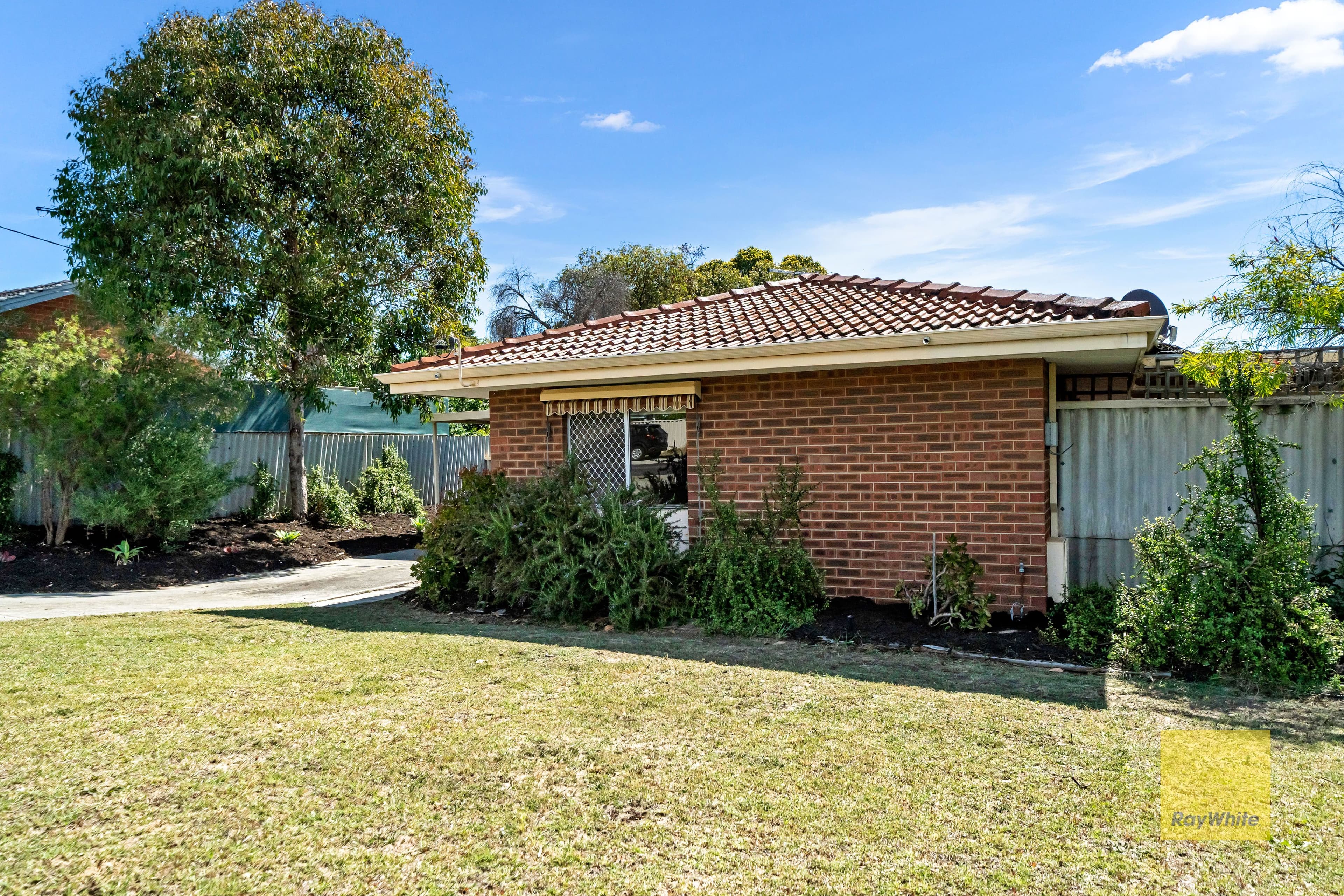 77 Amberton Avenue, Girrawheen WA 6064, Girrawheen - Thumbnail 3