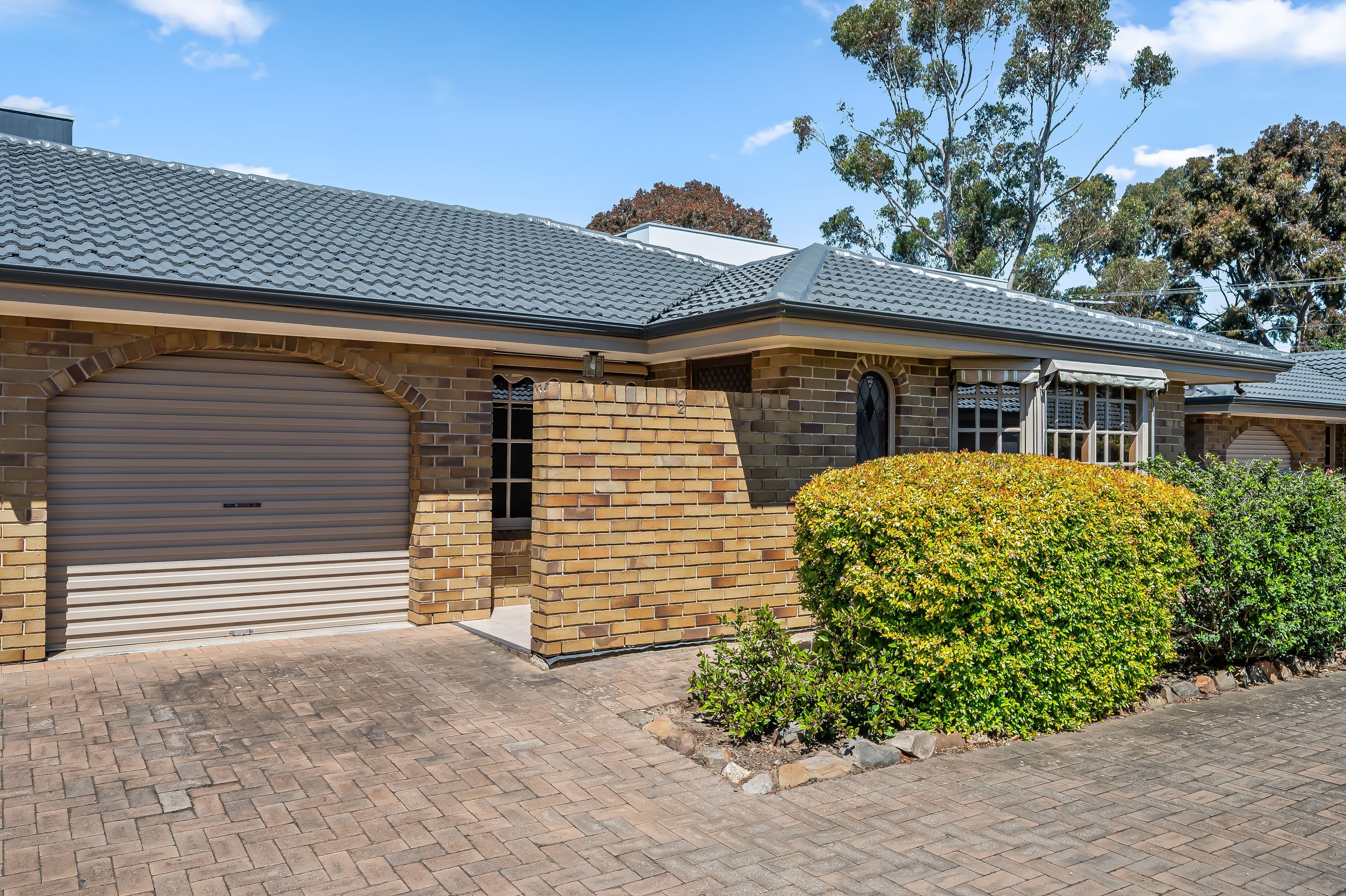 47 Albion Terrace, Campbelltown SA 5074, Campbelltown - Image 1