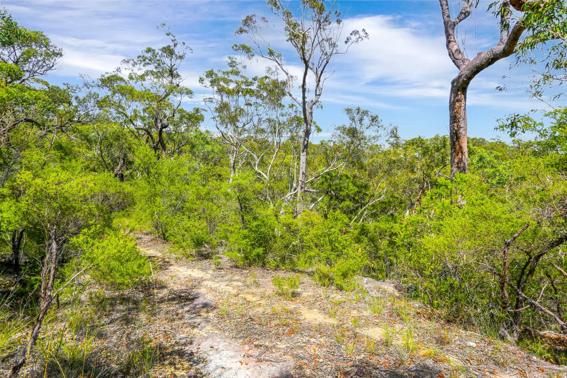 7 Marra Avenue, Canoelands, NSW, Canoelands - Thumbnail 2