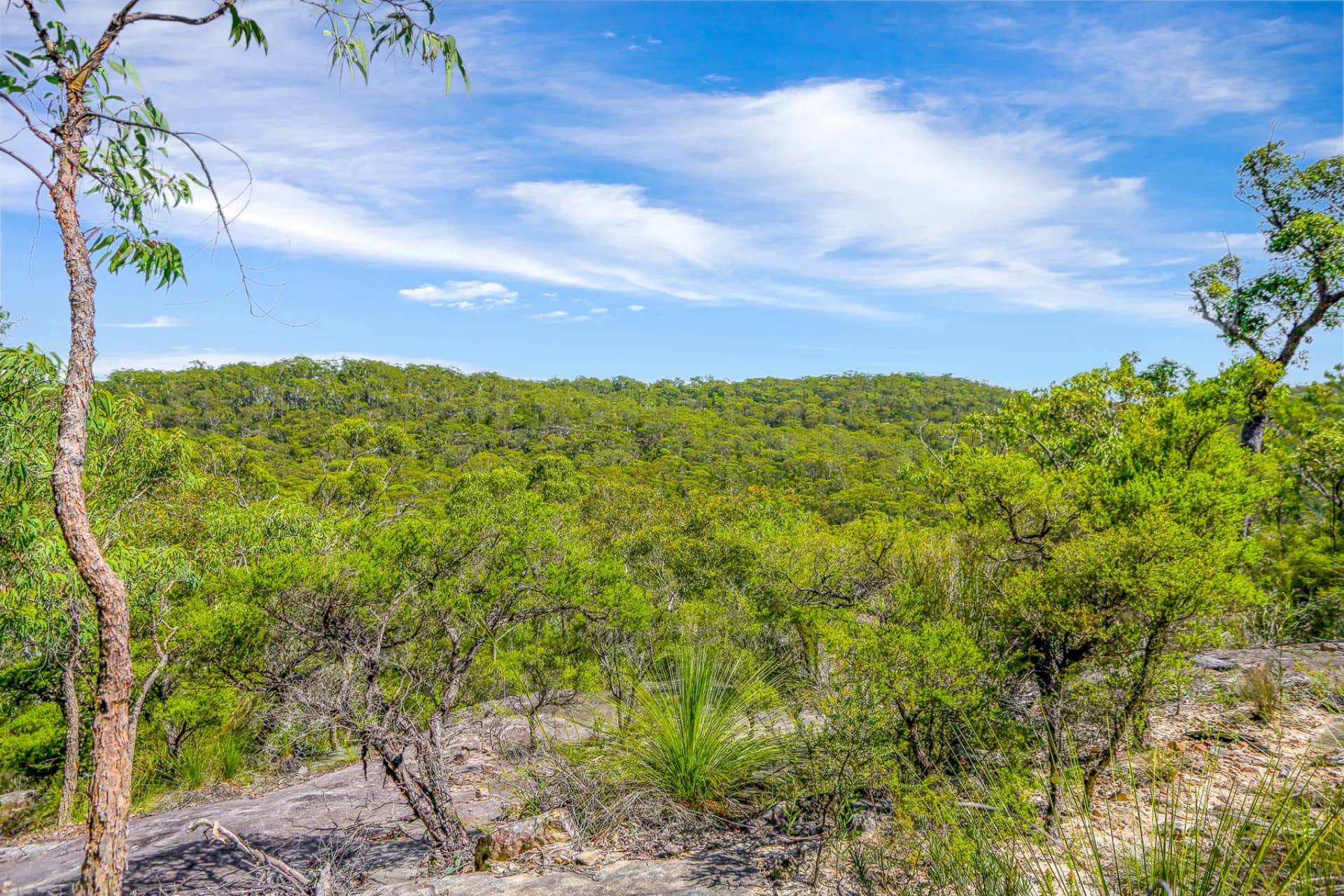 7 Marra Avenue, Canoelands, NSW, Canoelands - Thumbnail 4