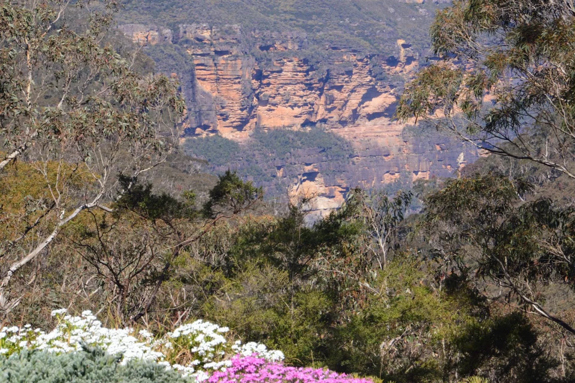 15-17 Gladstone Street, Wentworth Falls - Image 1