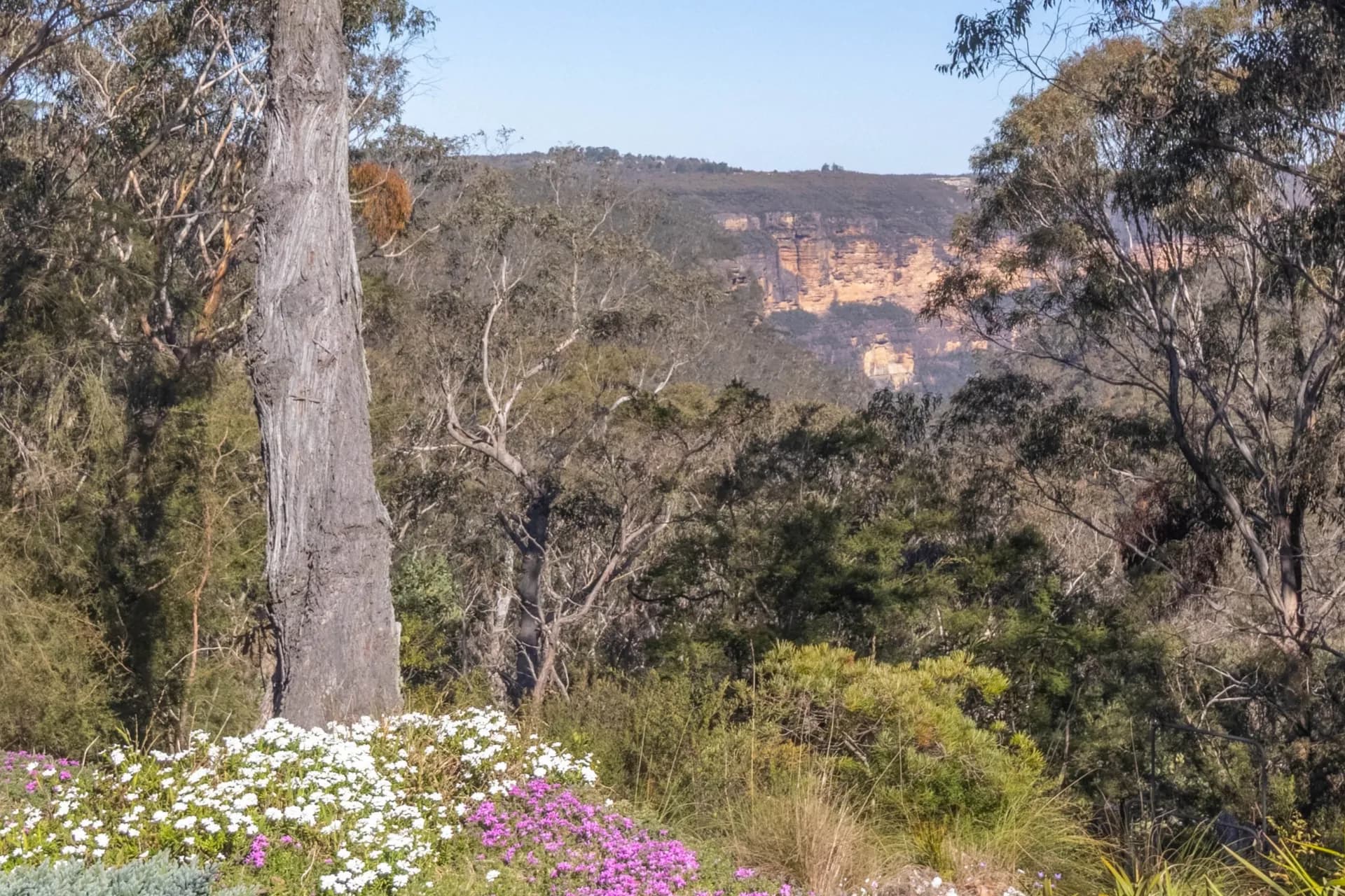 15-17 Gladstone Street, Wentworth Falls - Thumbnail 3