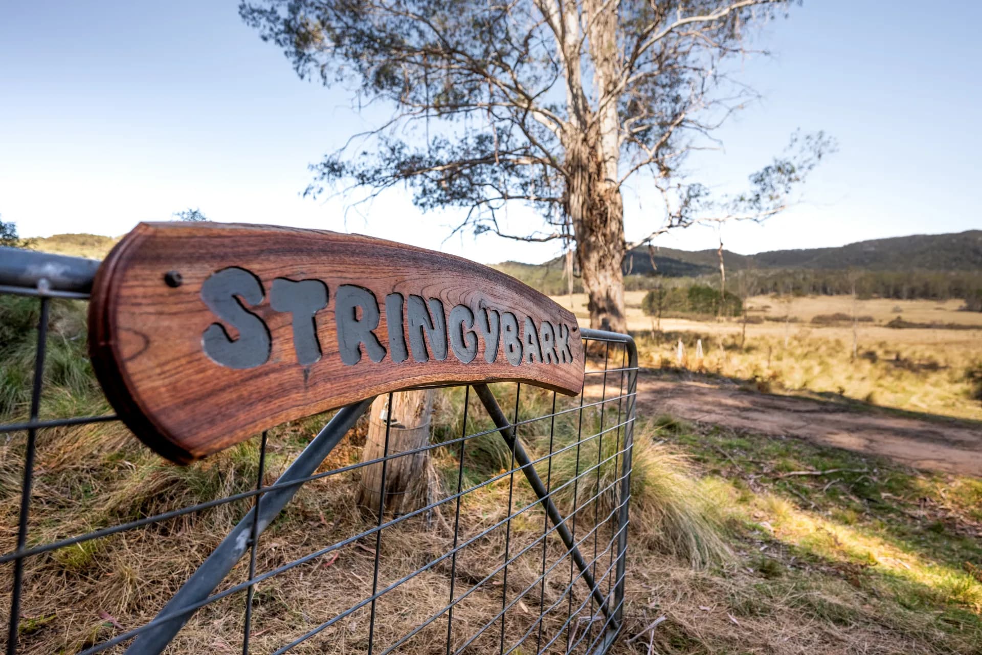 153 Blue Bush  Road, Wyanbene, NSW, Wyanbene - Thumbnail 2