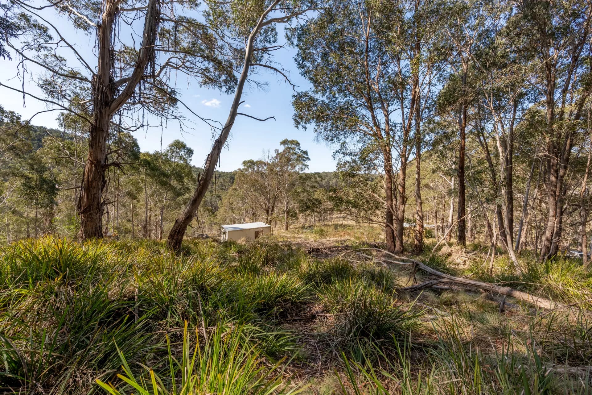 153 Blue Bush  Road, Wyanbene, NSW, Wyanbene - Thumbnail 7