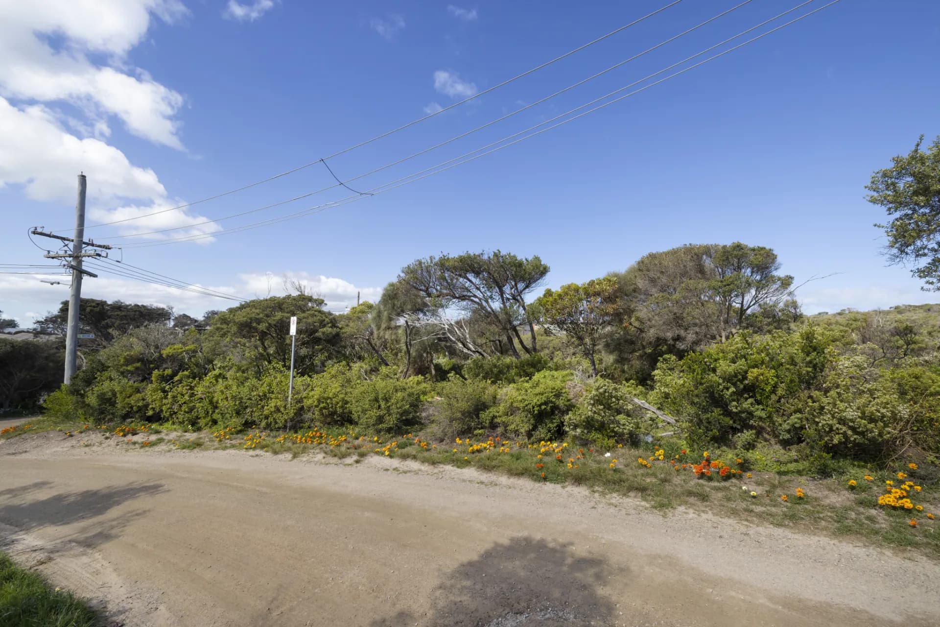49 Dana Avenue, Blairgowrie, VIC, Blairgowrie - Thumbnail 6