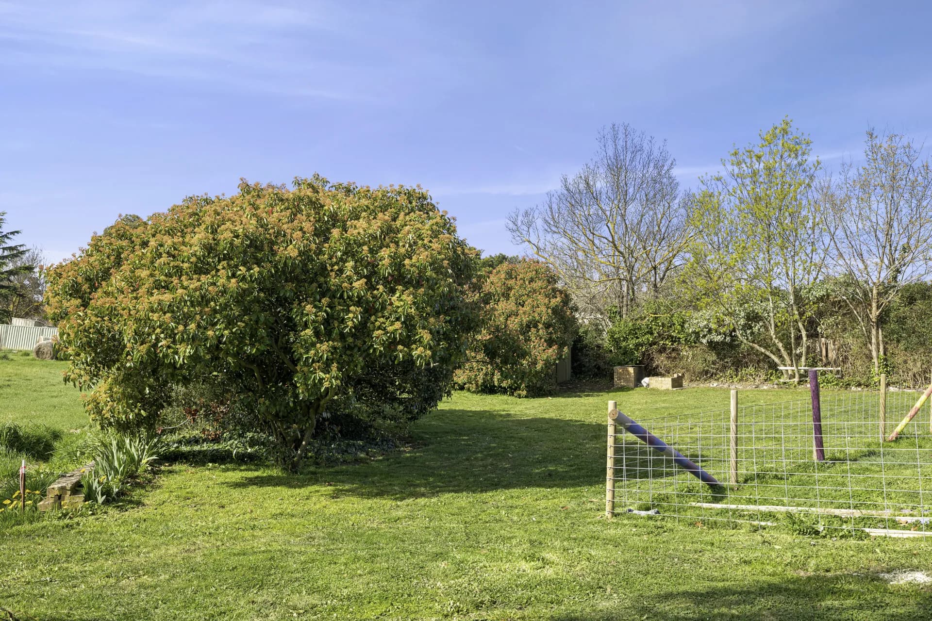 Lot 1/PS917024Y, 61 Talbot Road, Clunes, VIC, Clunes - Thumbnail 5