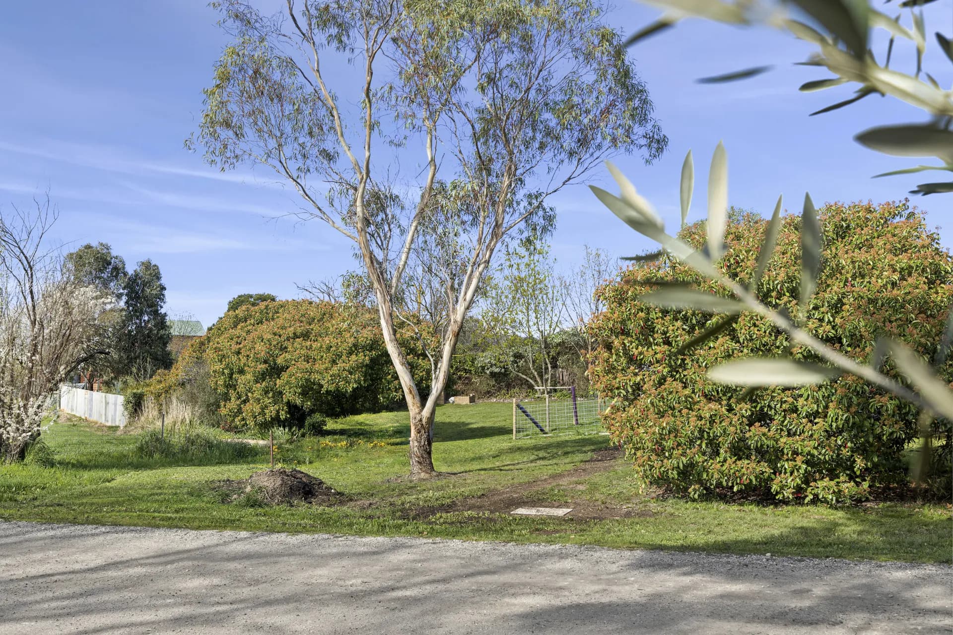 Lot 1/PS917024Y, 61 Talbot Road, Clunes, VIC, Clunes - Thumbnail 6
