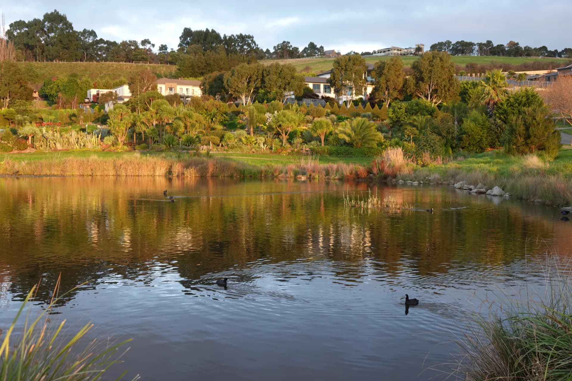 1 The Lough Court, Narre Warren North, VIC, Narre Warren North - Thumbnail 6