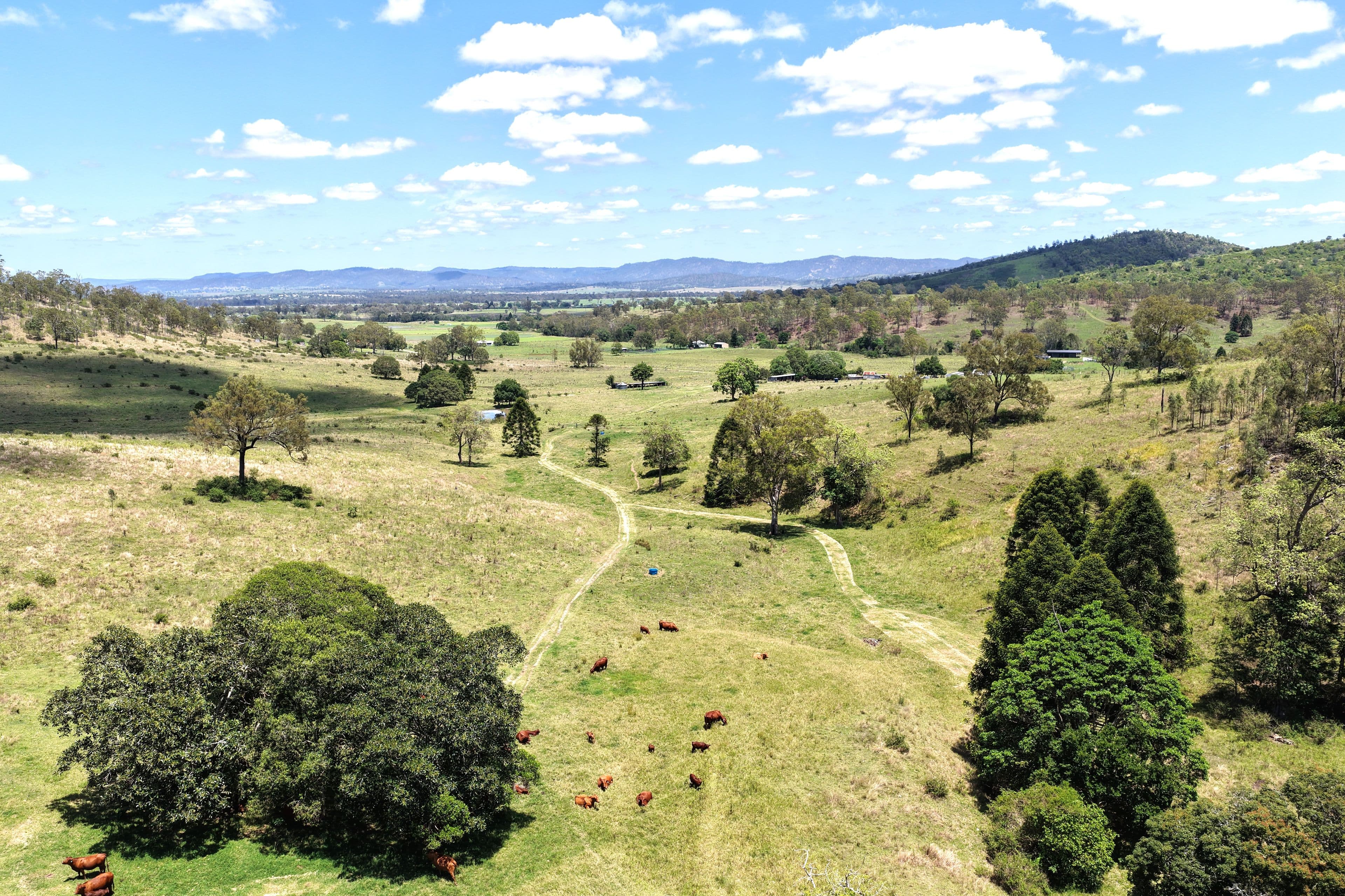 516 Scrub Creek Road, Scrub Creek QLD 4313, Scrub Creek - Image 1