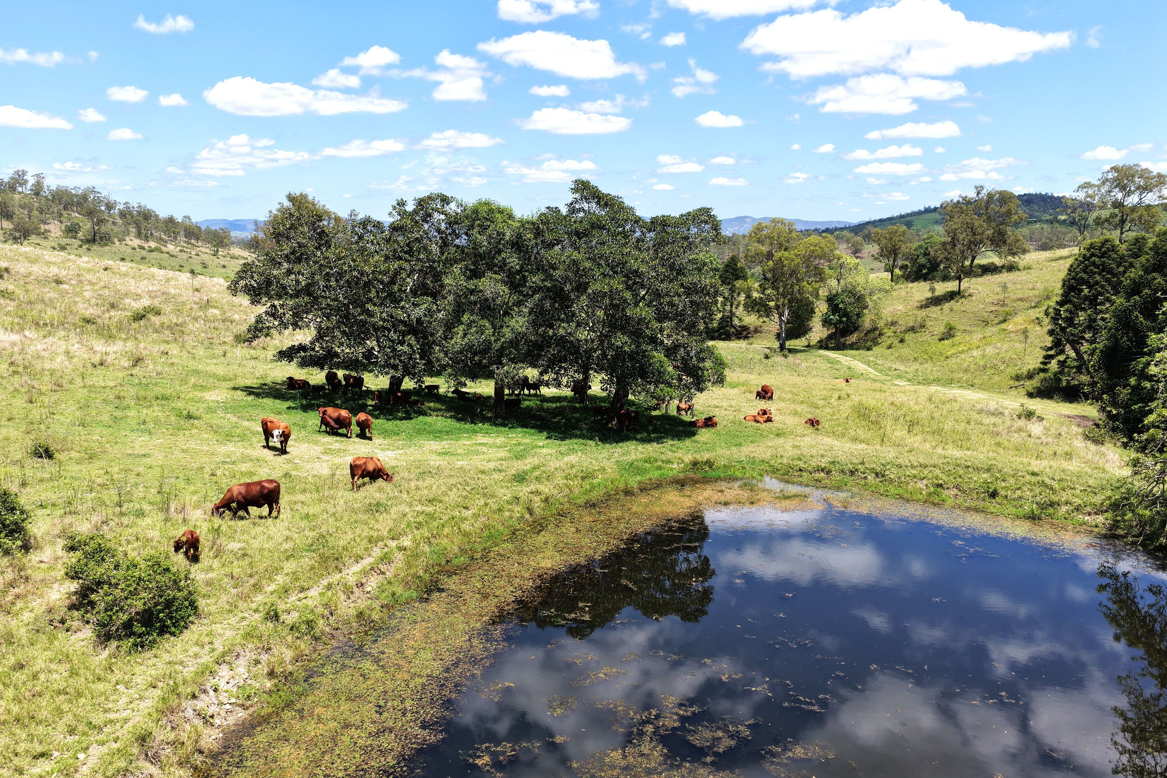 516 Scrub Creek Road, Scrub Creek QLD 4313, Scrub Creek - Thumbnail 2