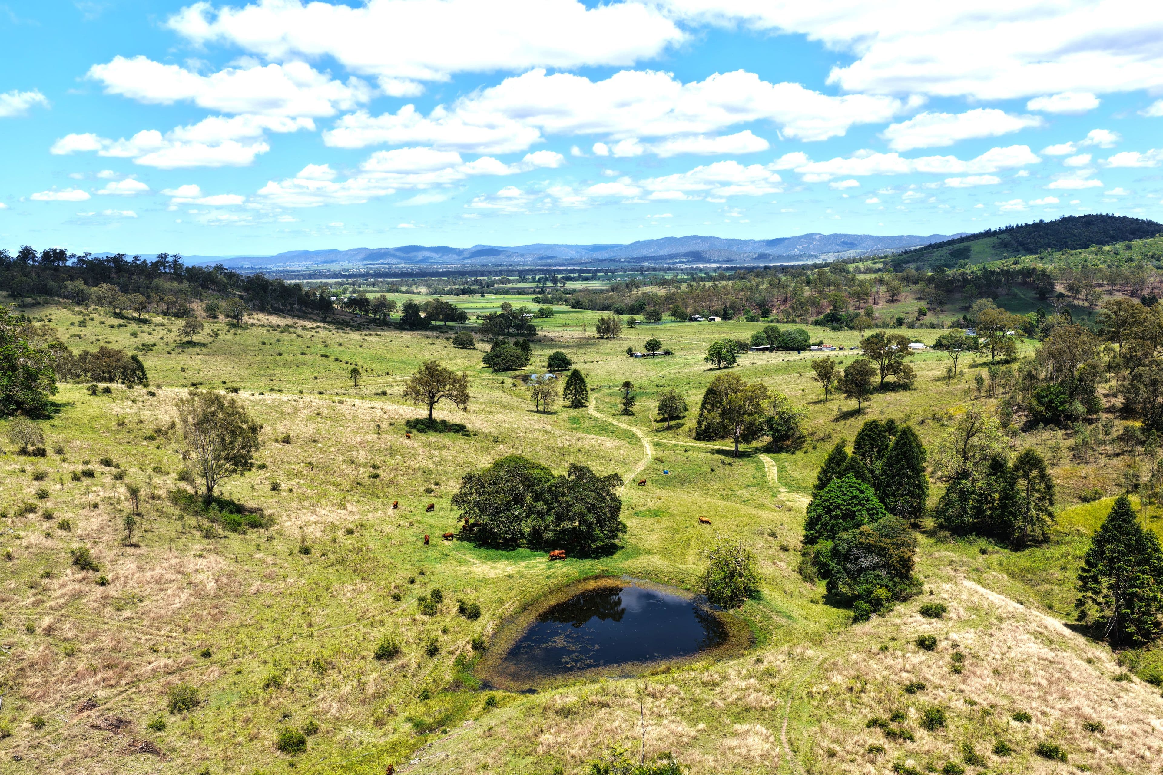 516 Scrub Creek Road, Scrub Creek QLD 4313, Scrub Creek - Thumbnail 6