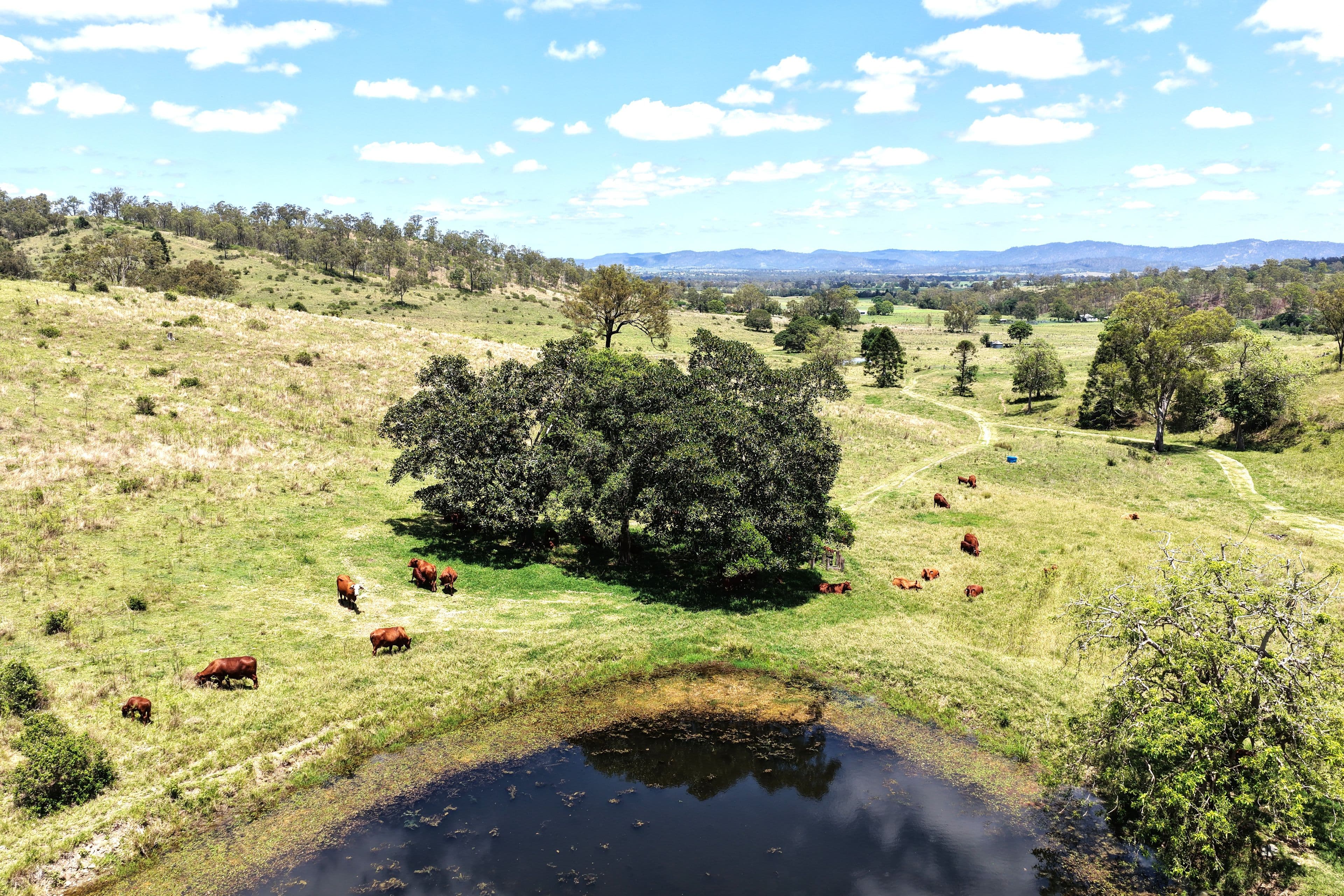 516 Scrub Creek Road, Scrub Creek QLD 4313, Scrub Creek - Thumbnail 8
