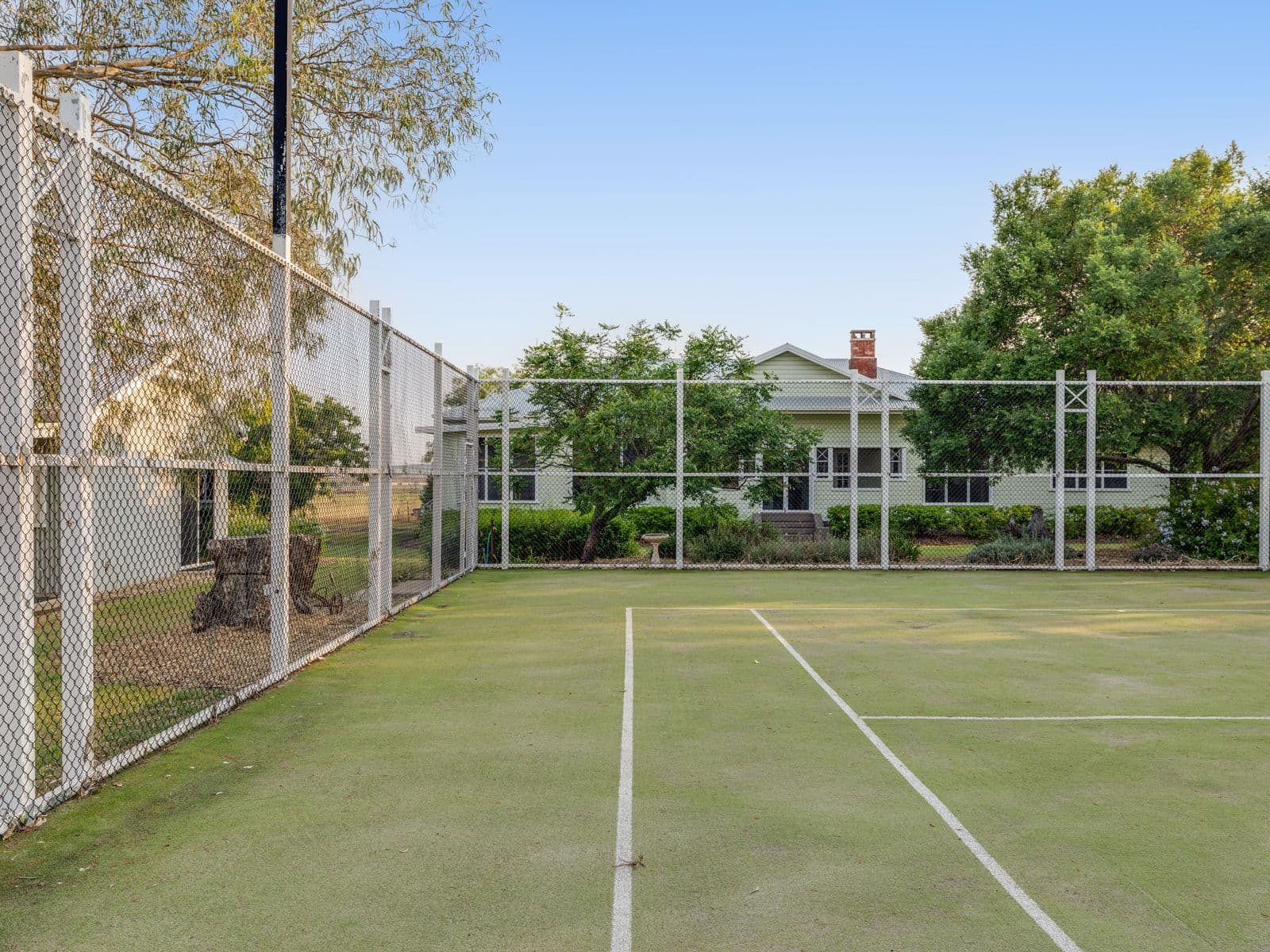 336 Pauli Road, Back Plains - Thumbnail 6