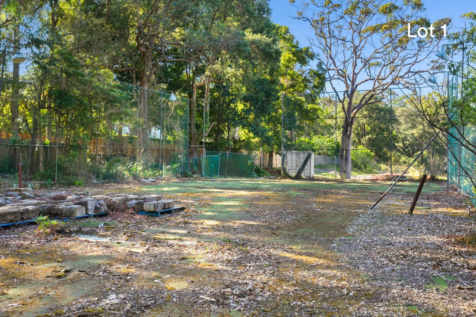 11 Glen Road, Roseville - Thumbnail 5