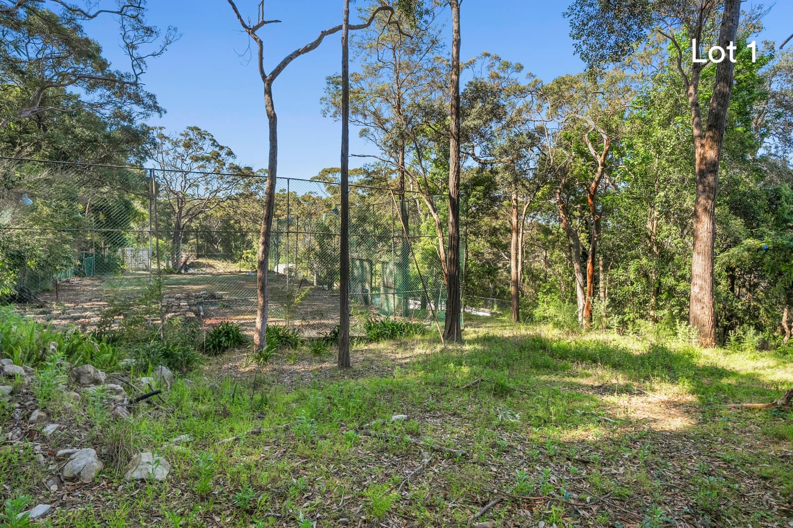 11 Glen Road, Roseville - Thumbnail 6