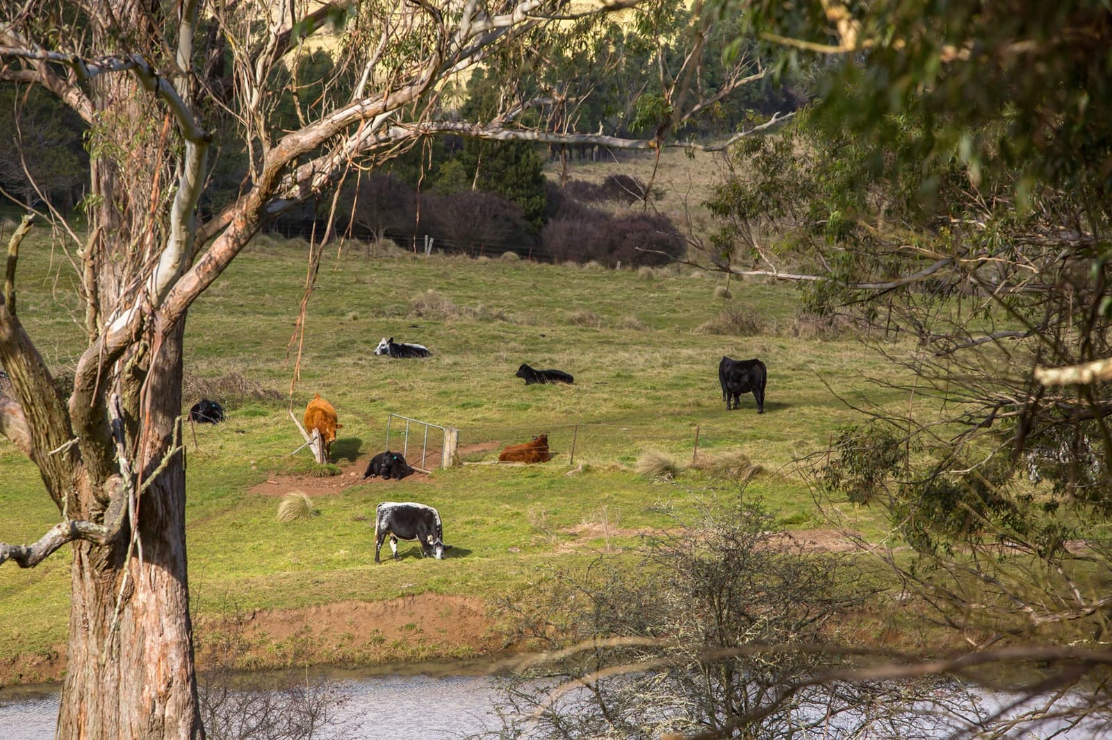1211 Old South Road,Bowral, Bowral - Thumbnail 7