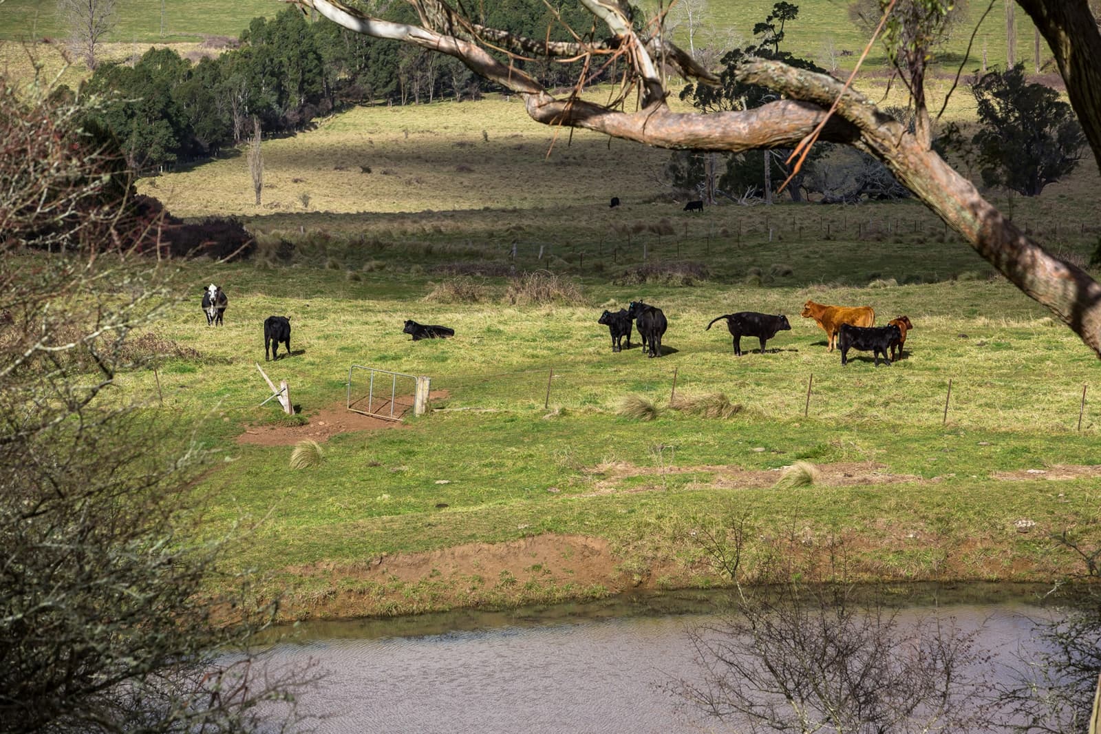 1211 Old South Road,Bowral, Bowral - Thumbnail 8