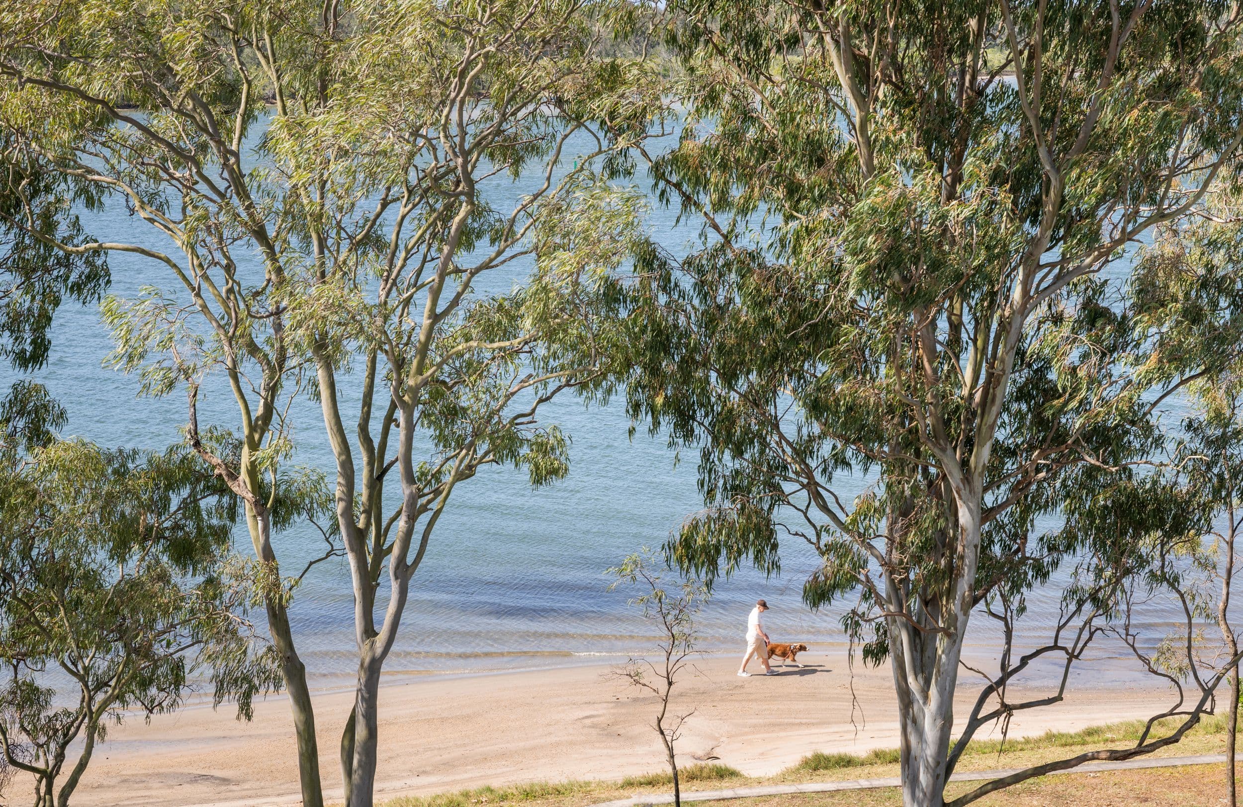 131-135 Bradman Avenue, Maroochydore QLD 4558, Maroochydore - Thumbnail 3