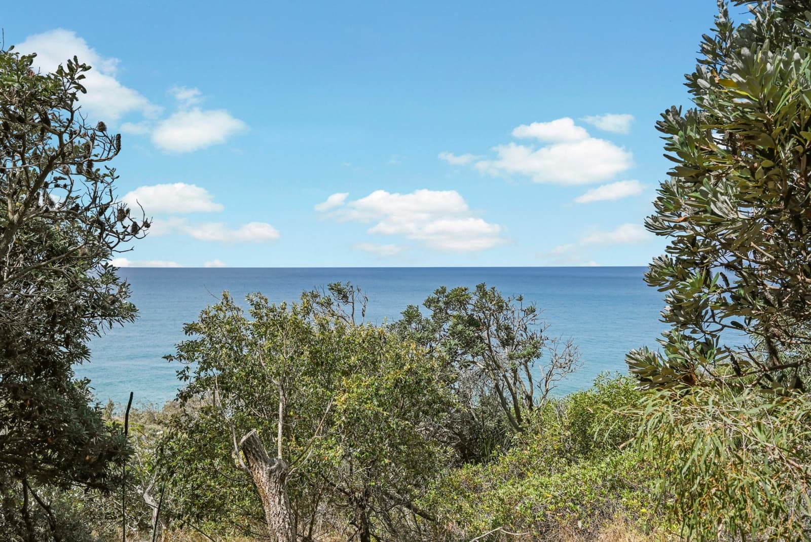 48 Atlantis Boulevard,Agnes Water, Agnes Water - Thumbnail 2