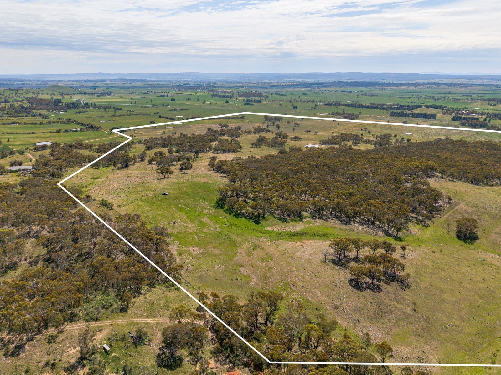 87 Westmead Lane, Sutton - Thumbnail 4