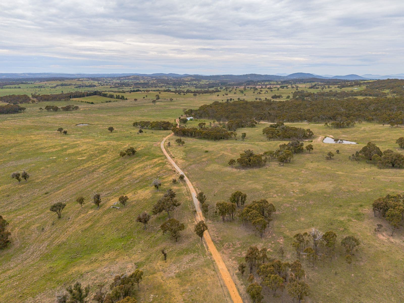 87 Westmead Lane, Sutton - Thumbnail 6