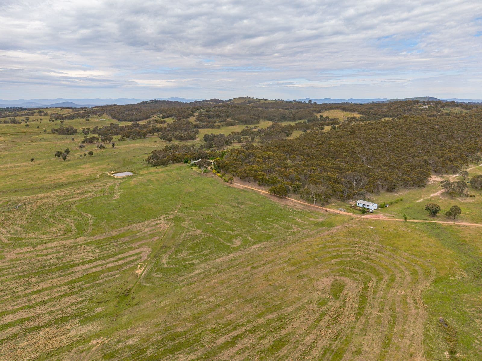 87 Westmead Lane, Sutton - Thumbnail 7