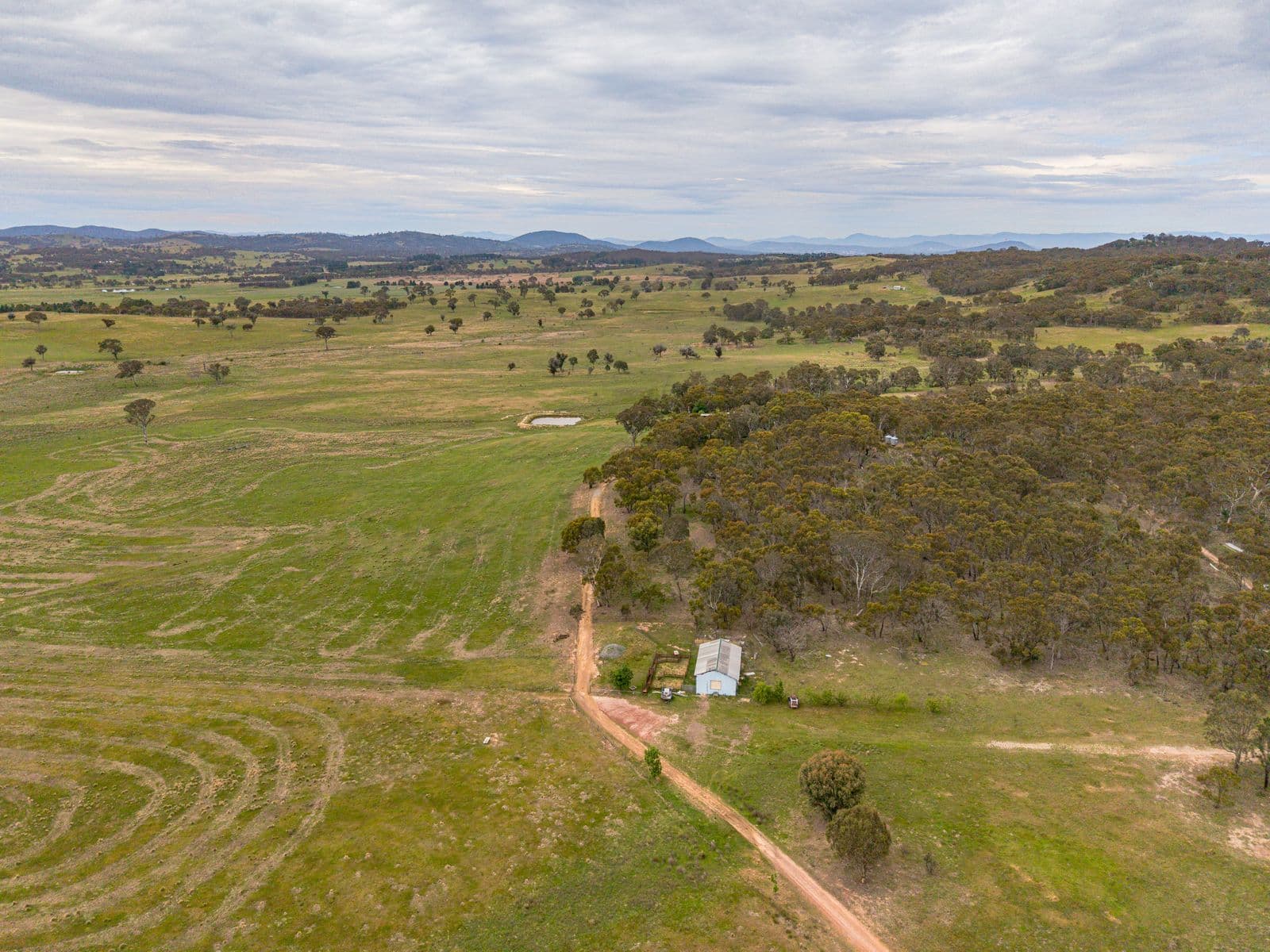 87 Westmead Lane, Sutton - Thumbnail 8