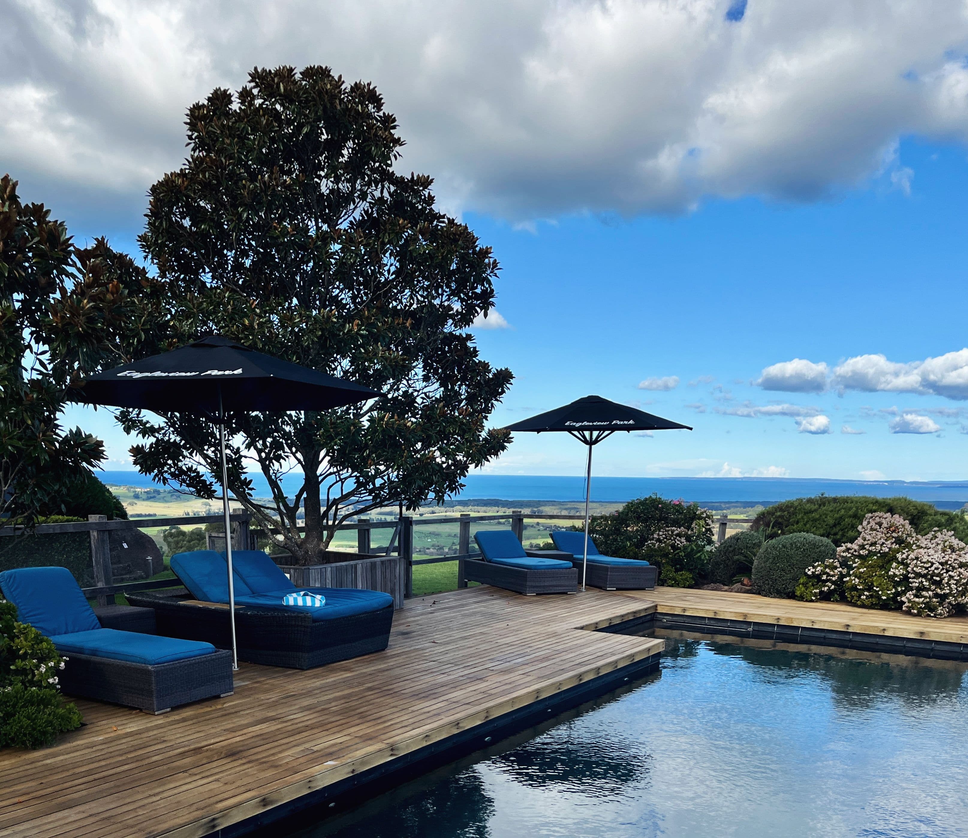 'Eagleview Park' 98 Foxground Road, Foxground NSW 2534, Foxground - Thumbnail 6