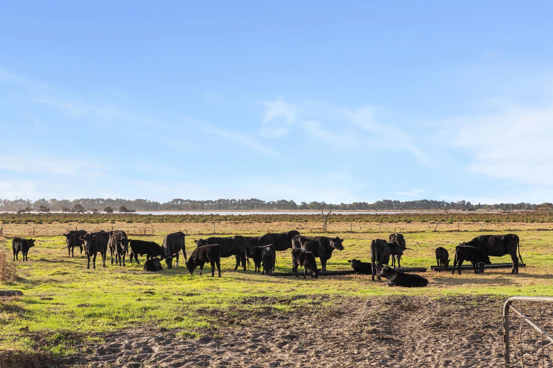 4762 Bussell Highway, Reinscourt., Reinscourt - Thumbnail 6