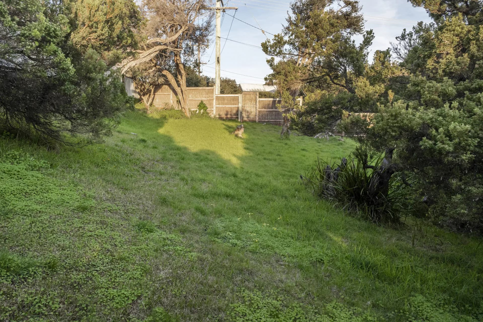 6 Bath Street, Blairgowrie, VIC, Blairgowrie - Thumbnail 2