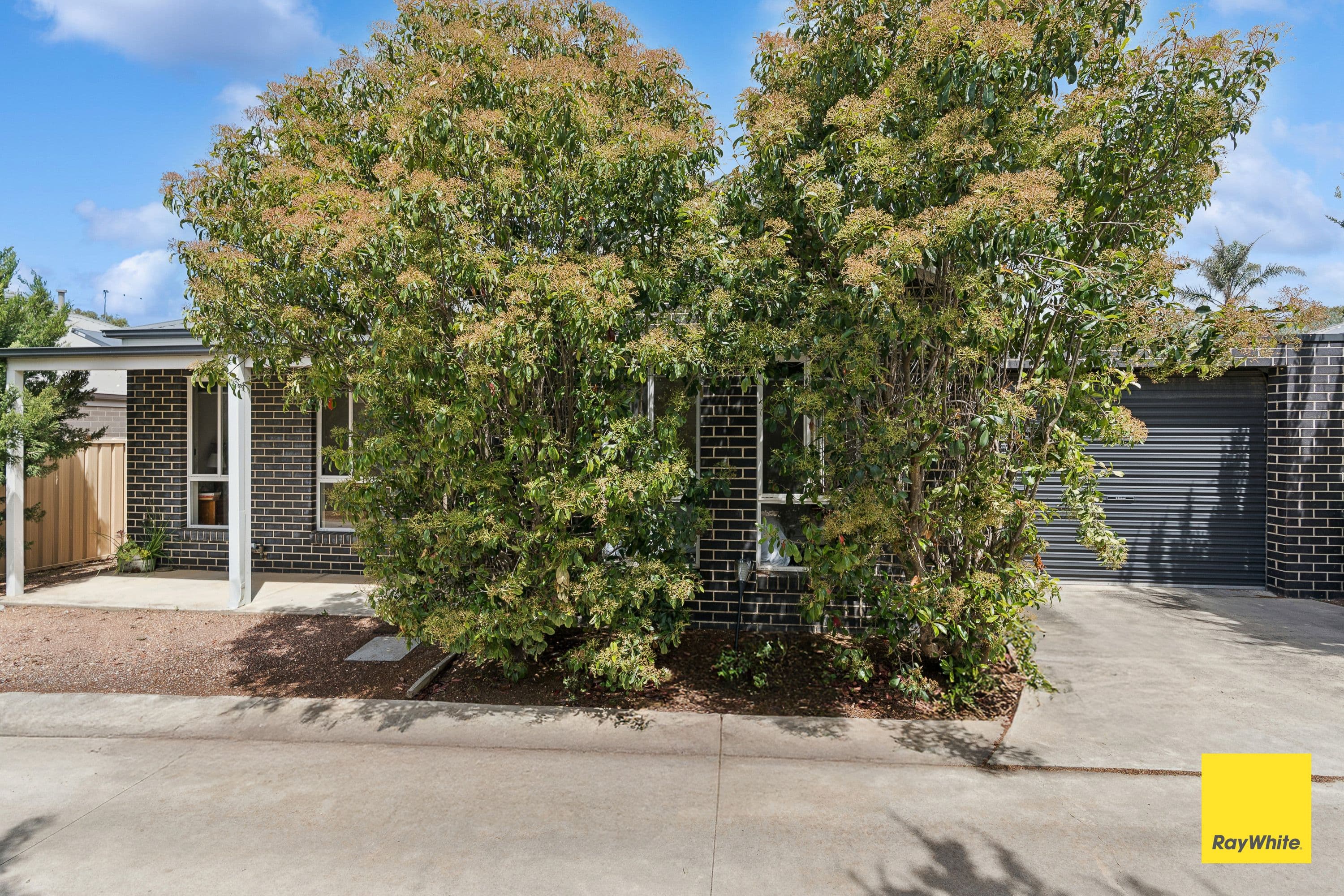 18A Emmett Street, Golden Square VIC 3555, Golden Square - Thumbnail 3