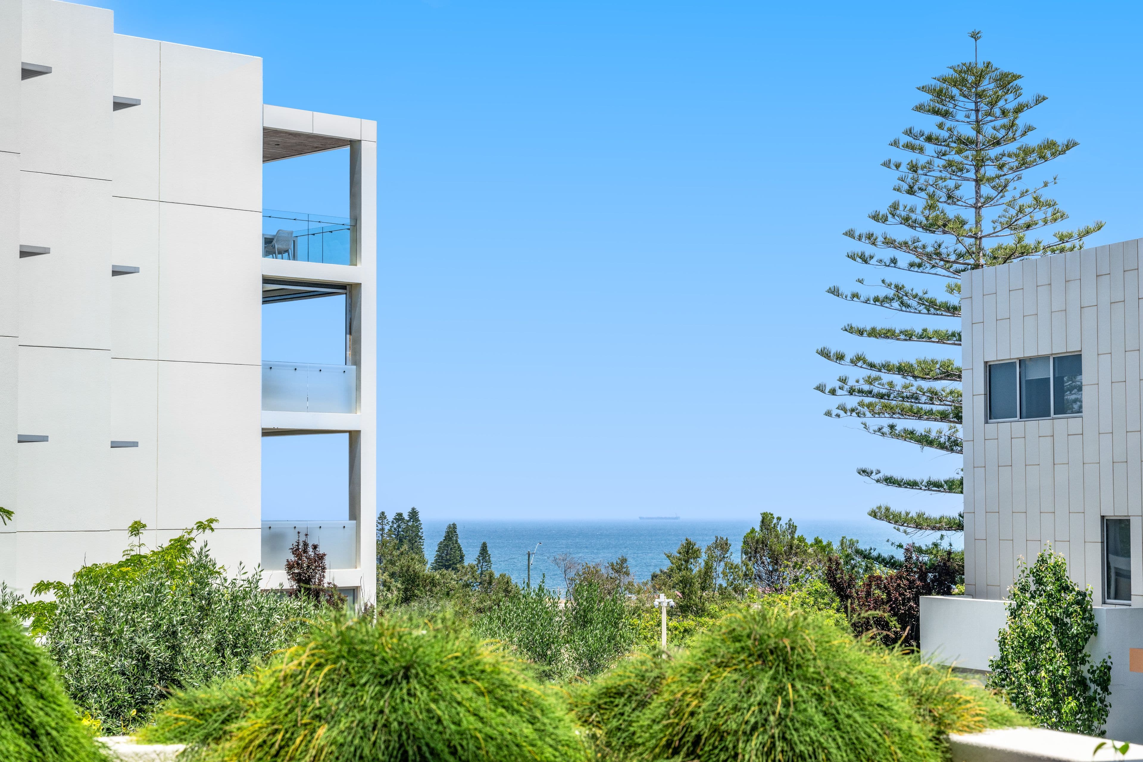 6 Tasker Place, North Fremantle WA 6159, North Fremantle - Thumbnail 5